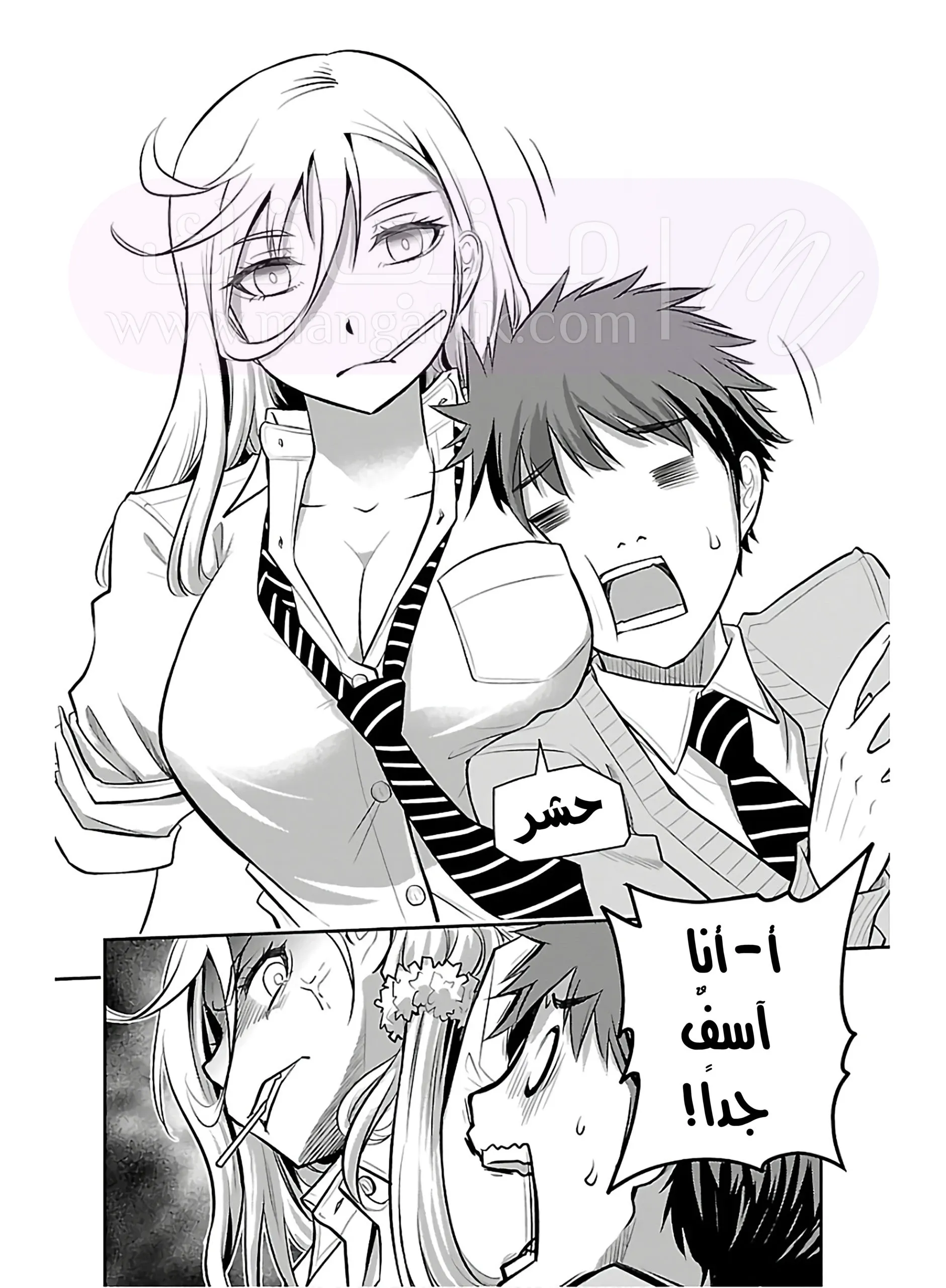 الصفحة 13