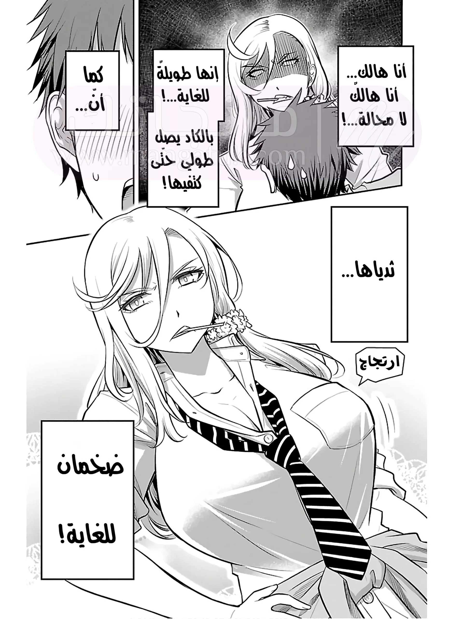 الصفحة 14