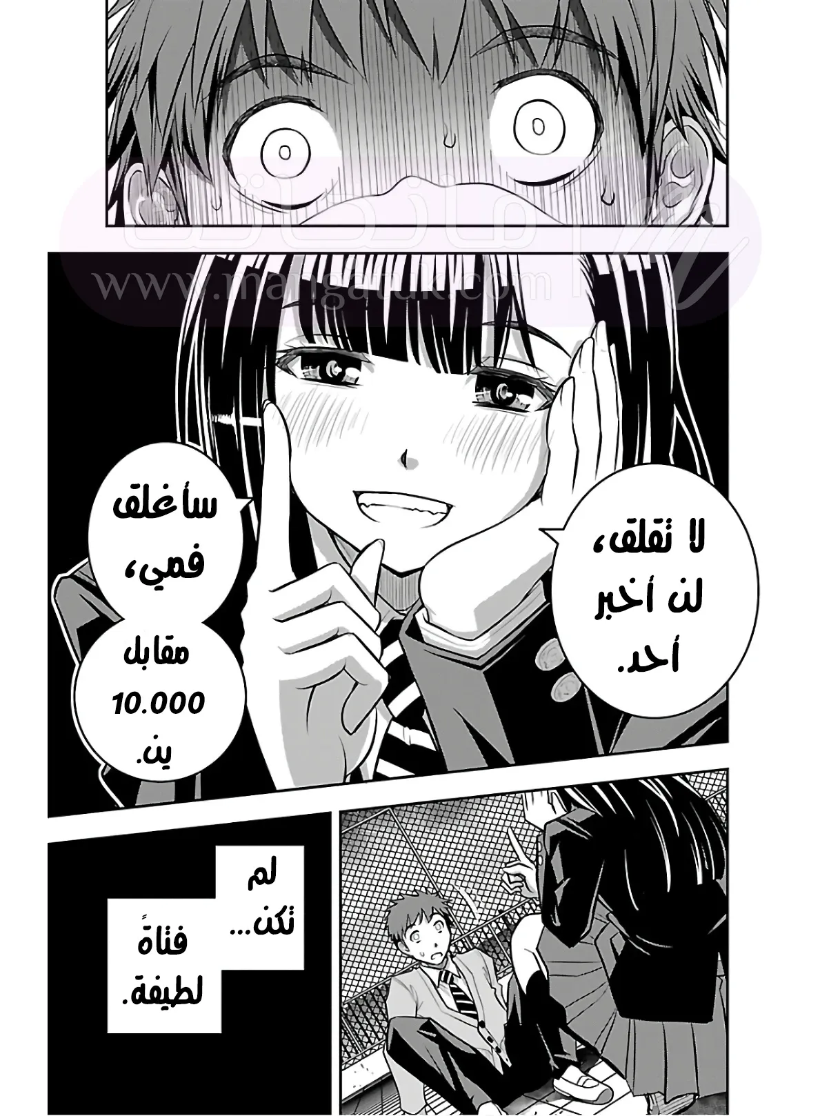 الصفحة 24