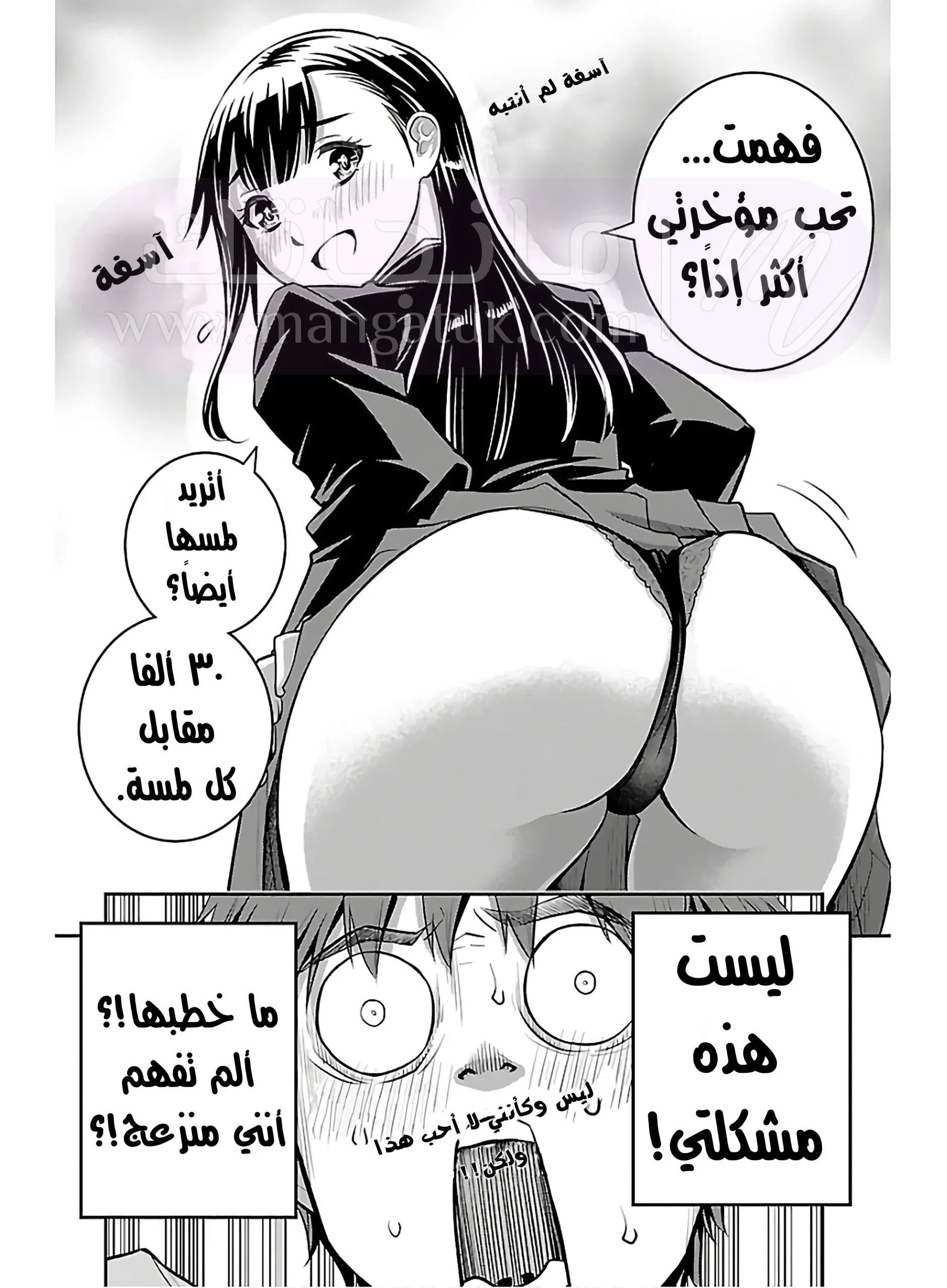 الصفحة 27