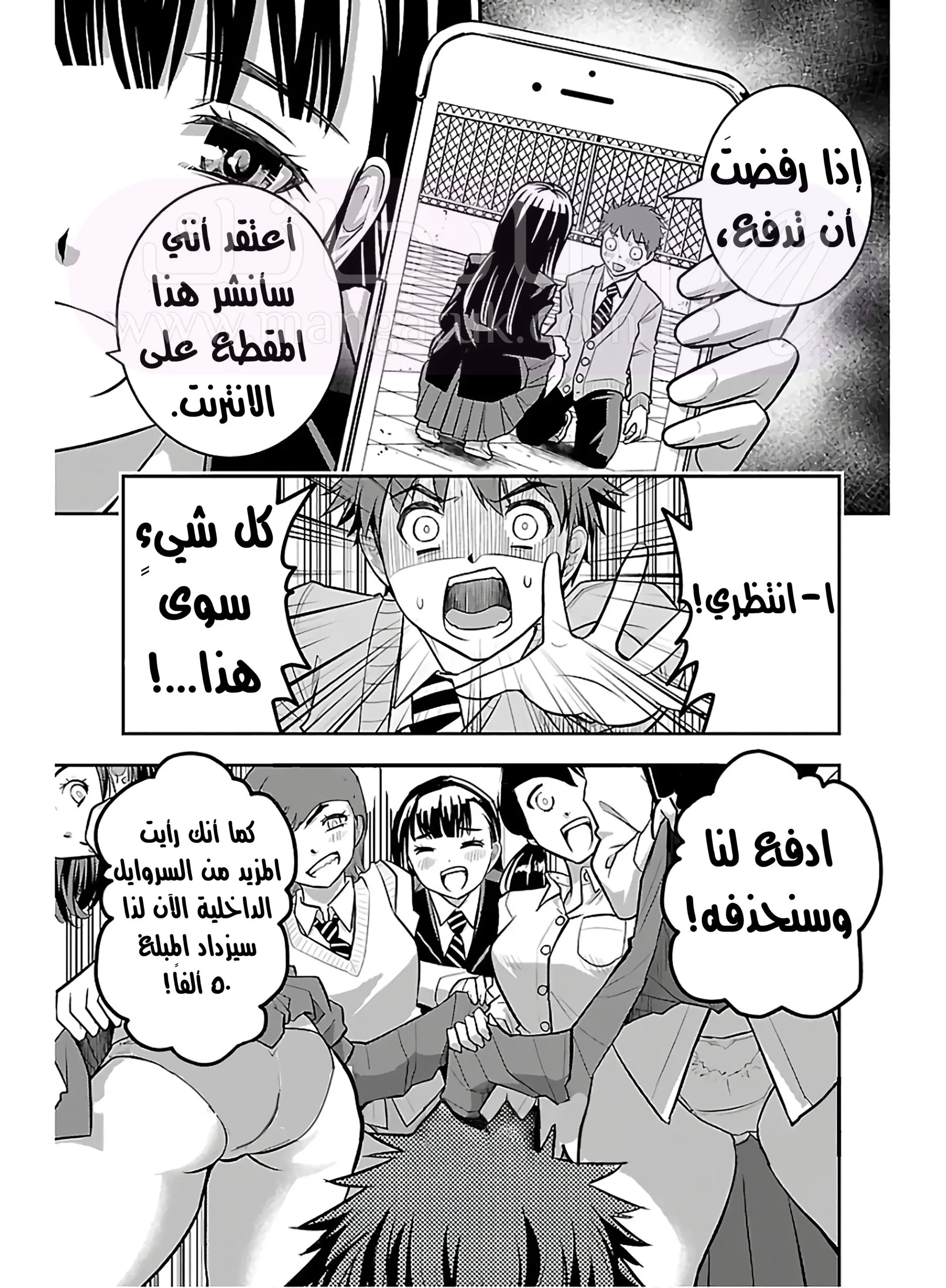 الصفحة 30