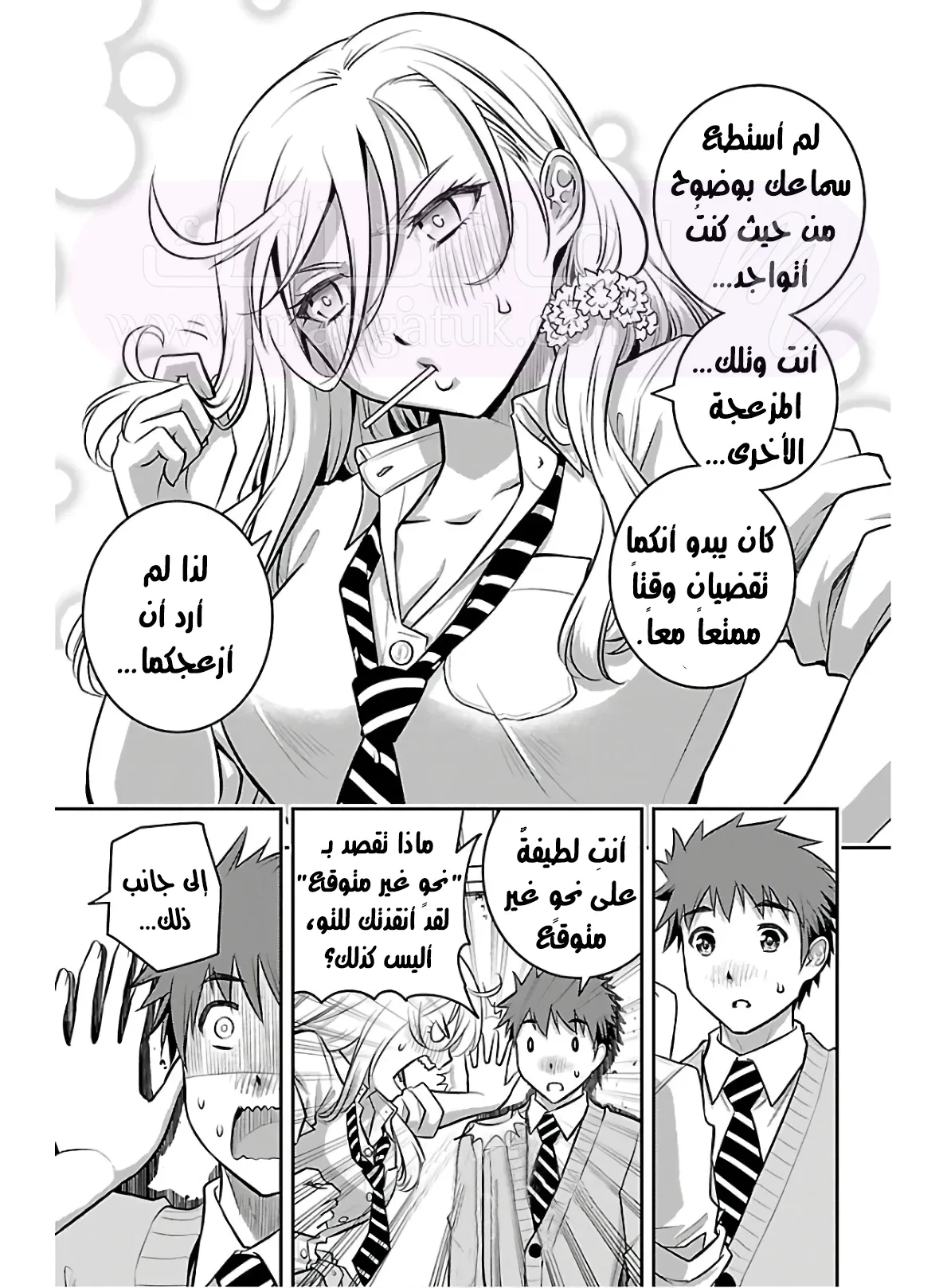 الصفحة 42