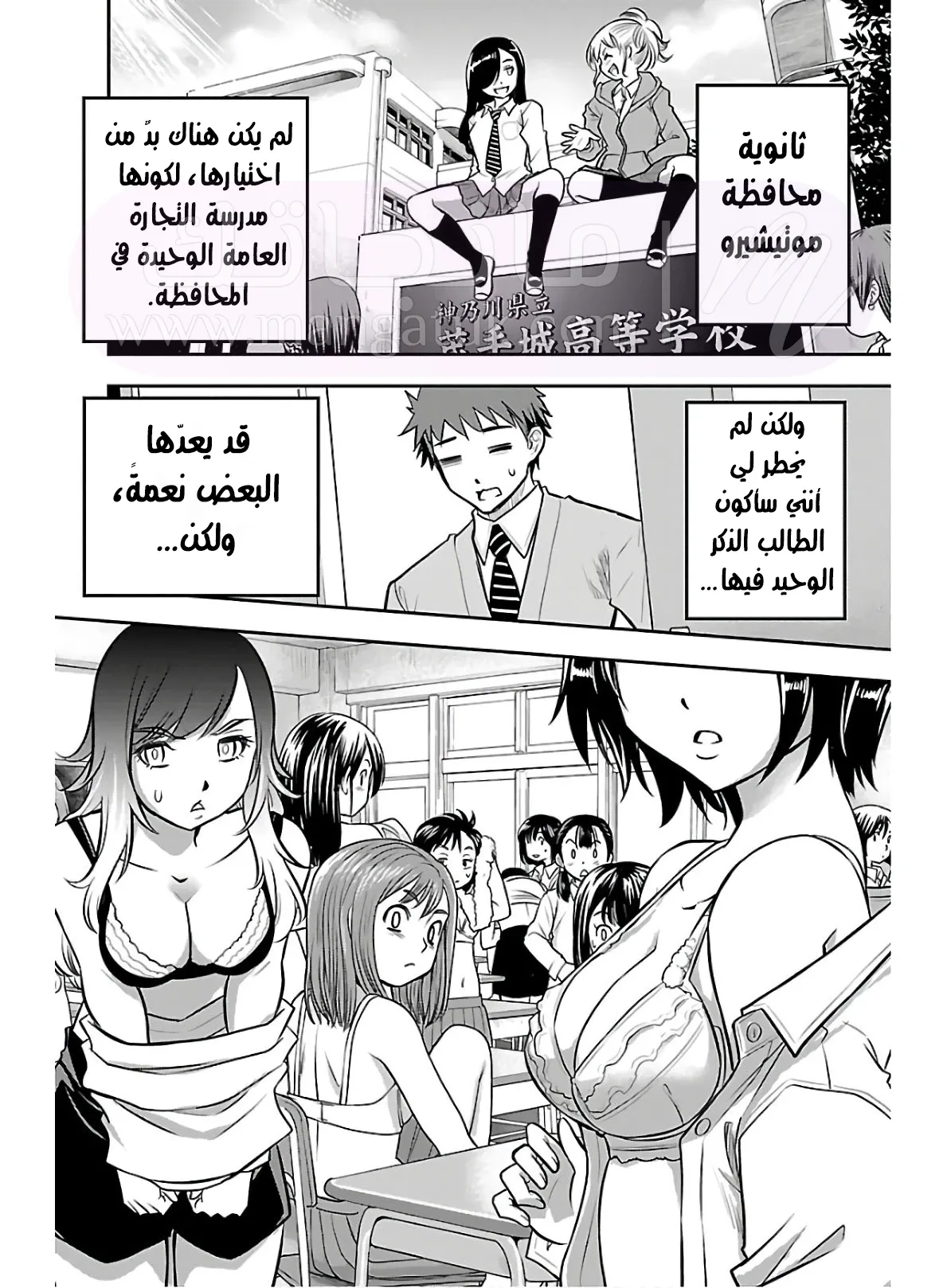 الصفحة 11