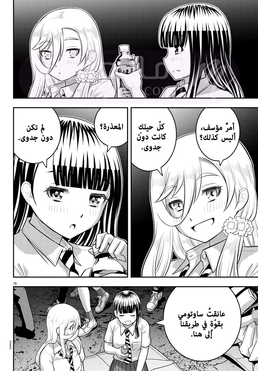 الصفحة 17