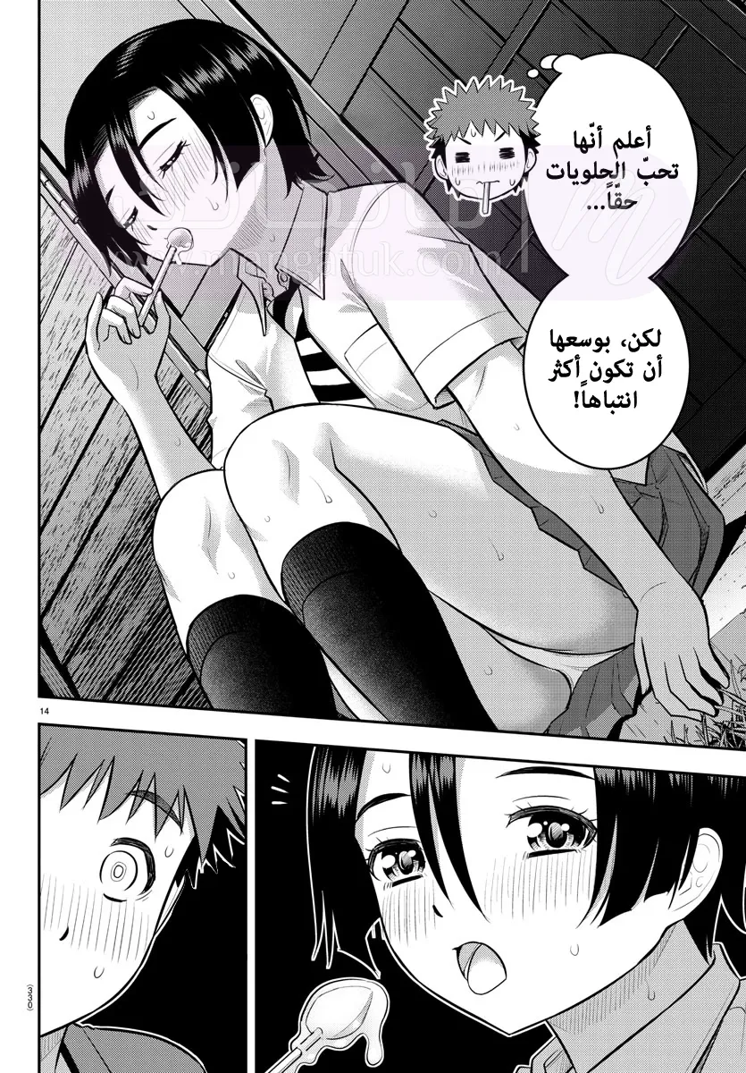 الصفحة 15