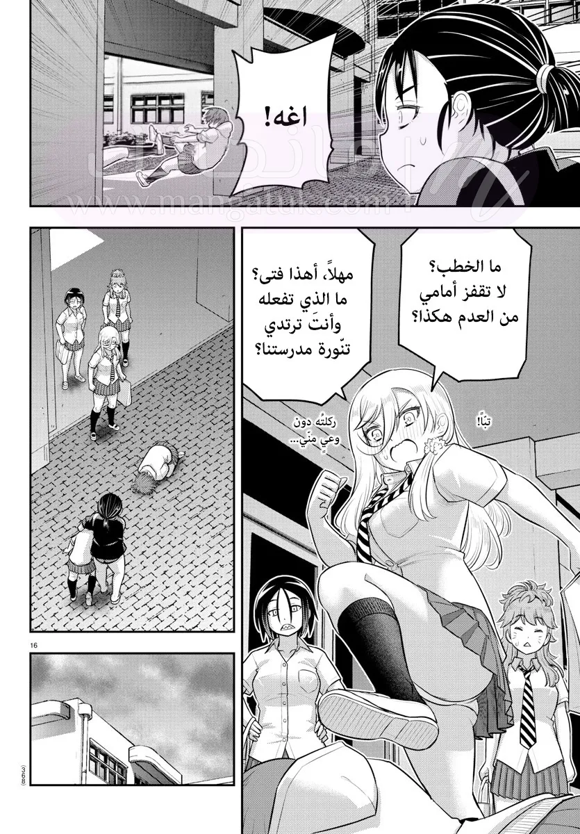الصفحة 17