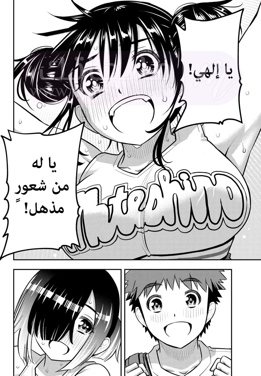 الصفحة 21