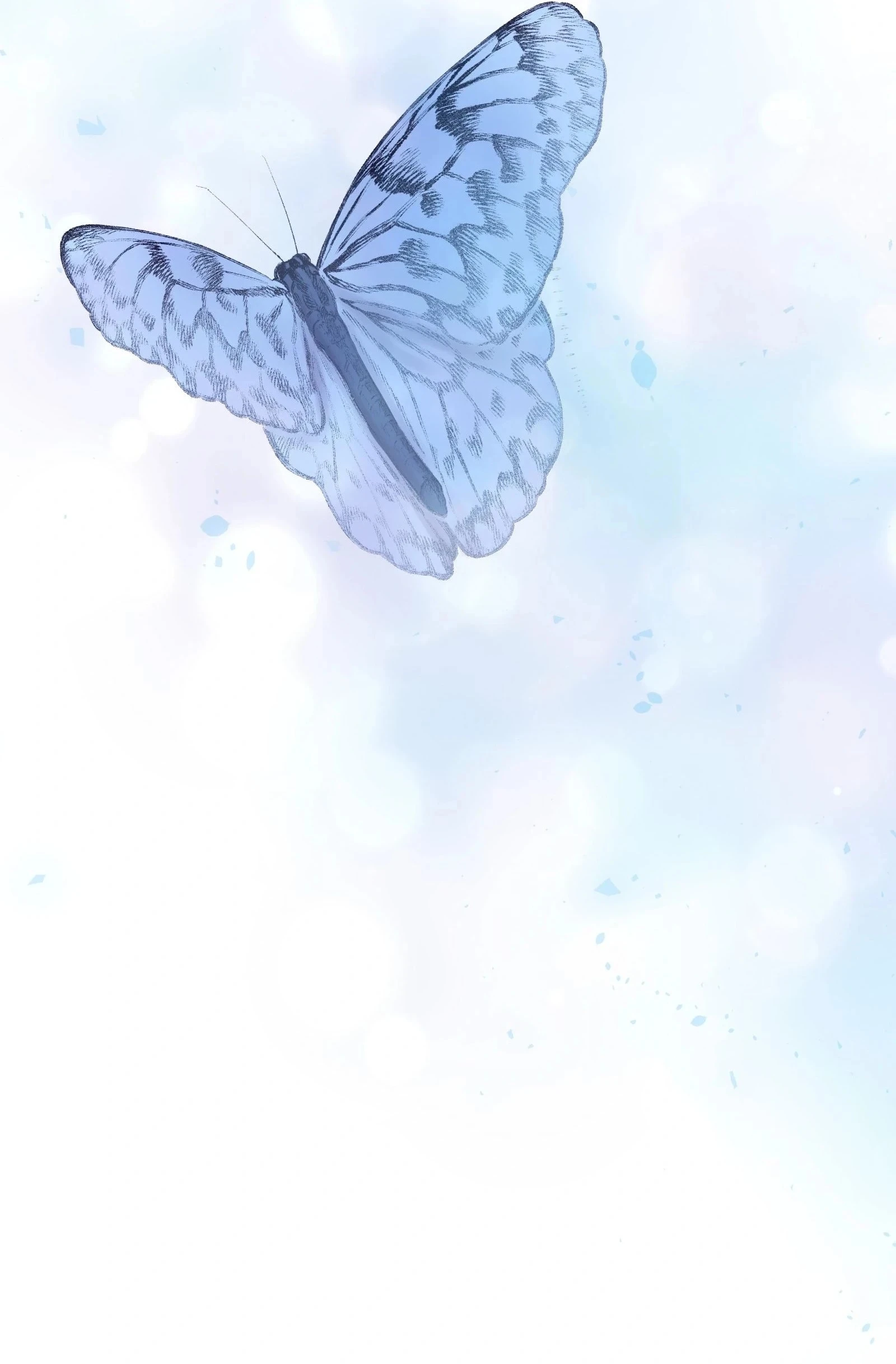 الصفحة 41