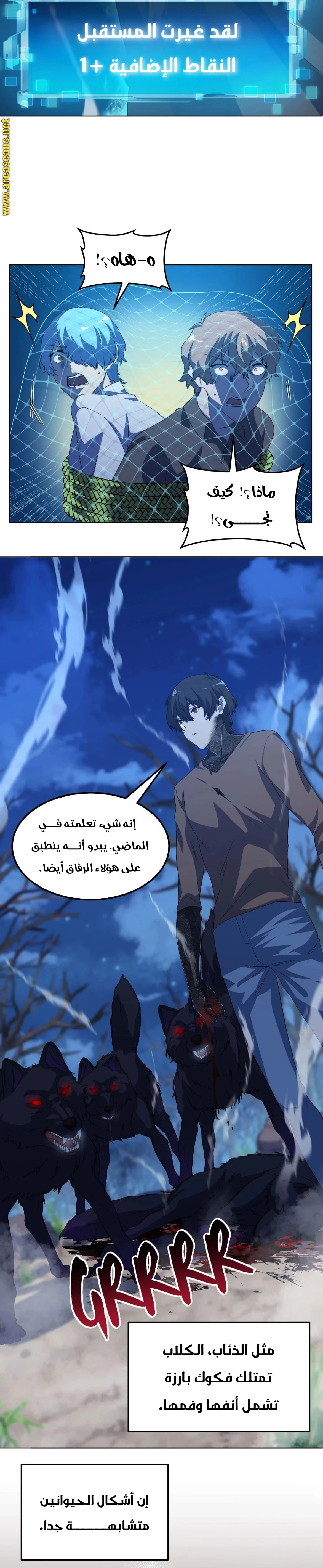 الصفحة 11