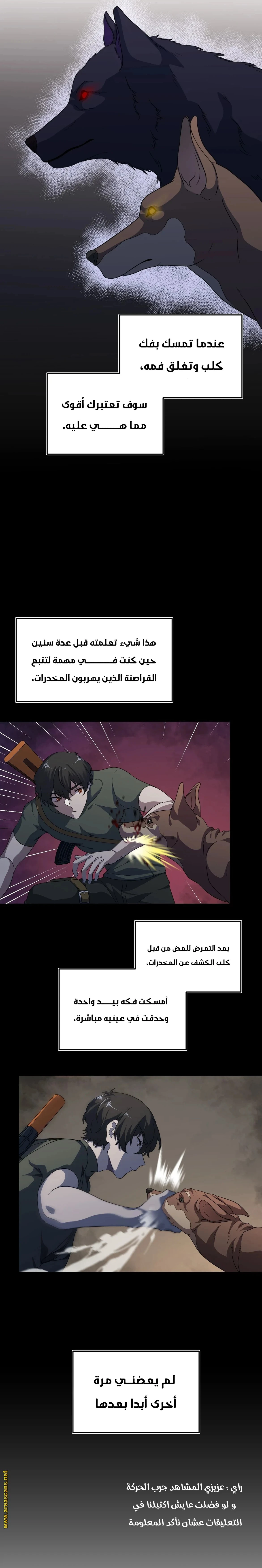 الصفحة 12