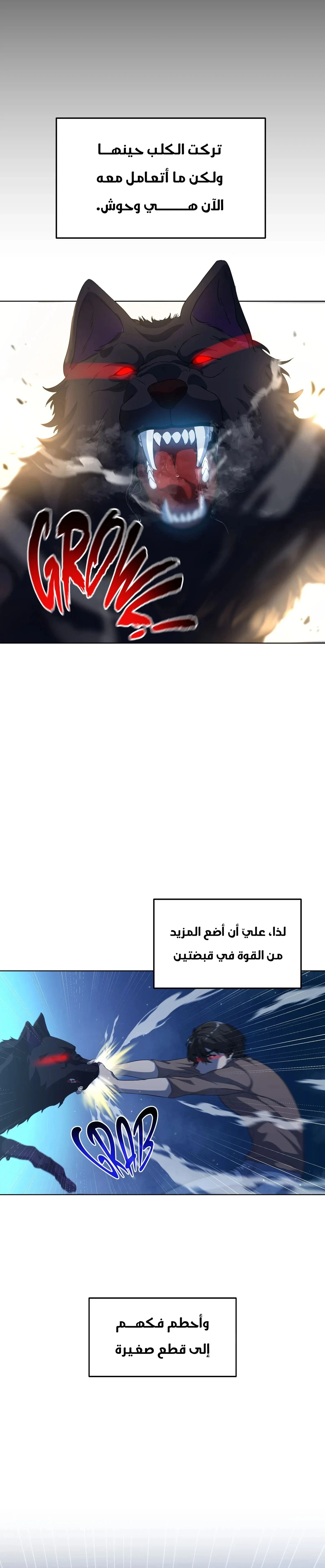 الصفحة 13