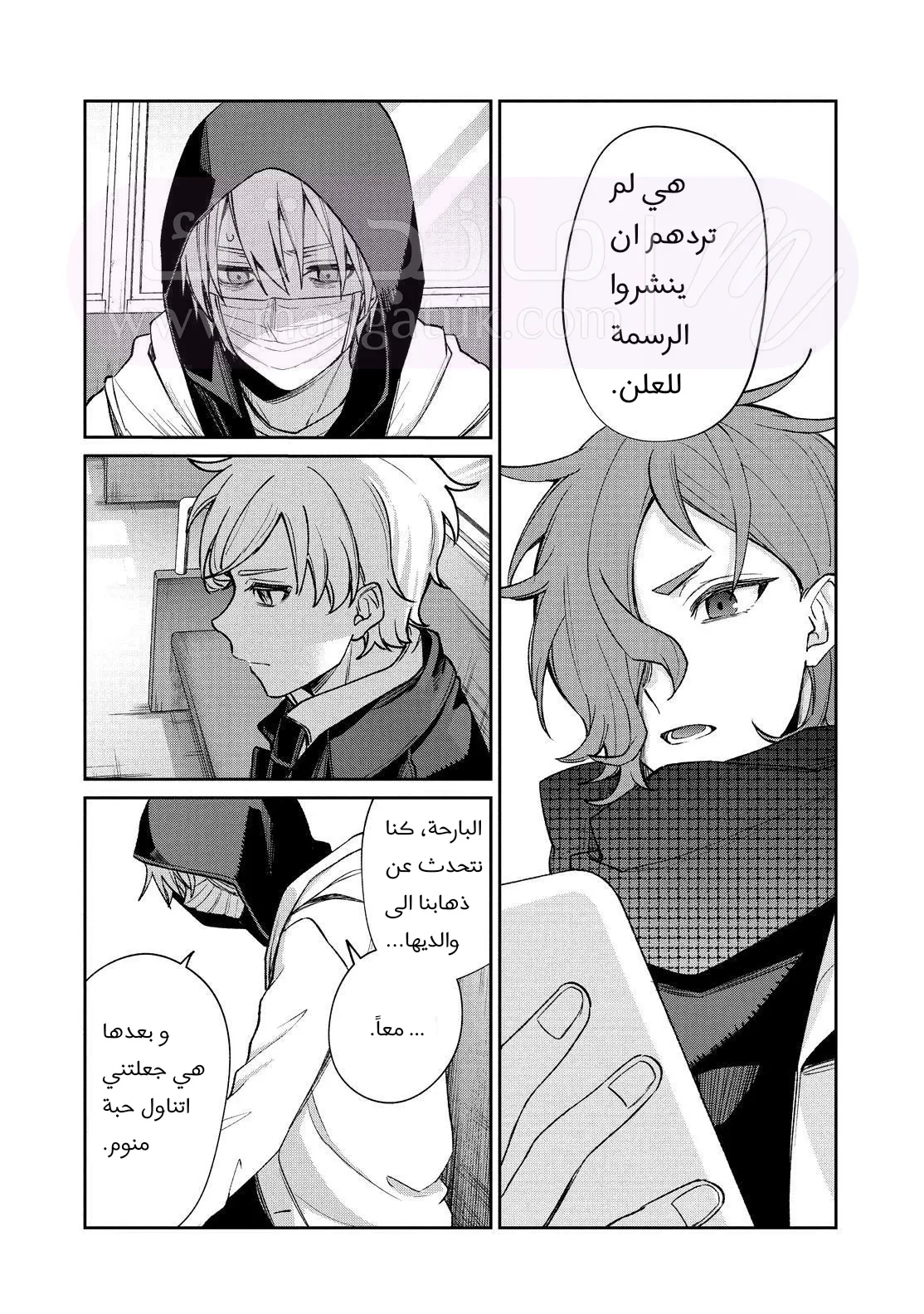 الصفحة 12