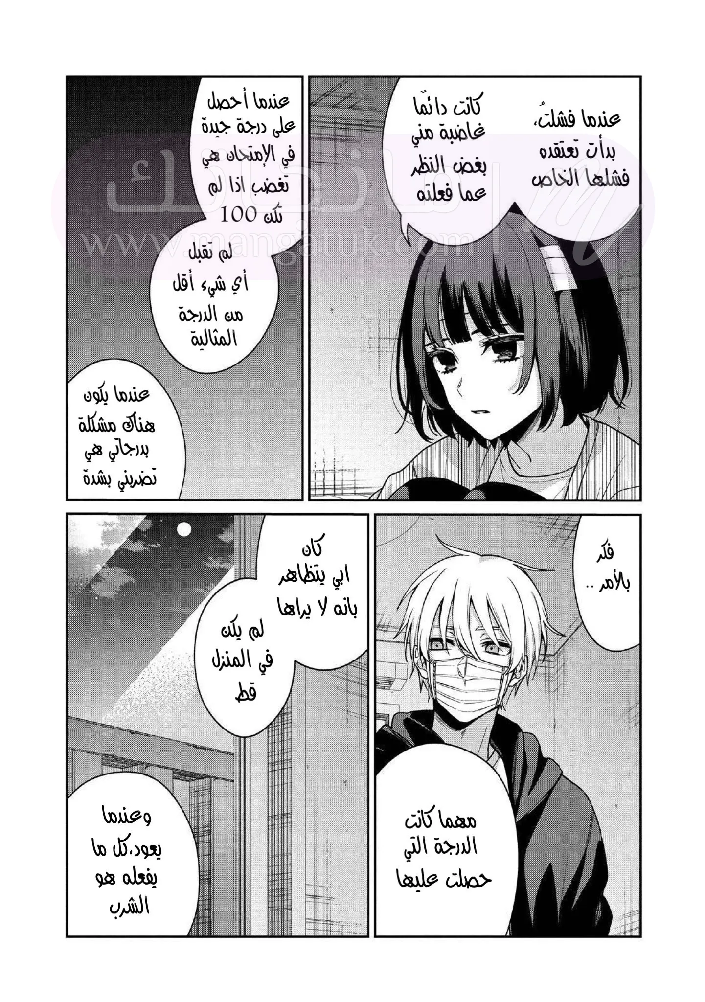 الصفحة 13