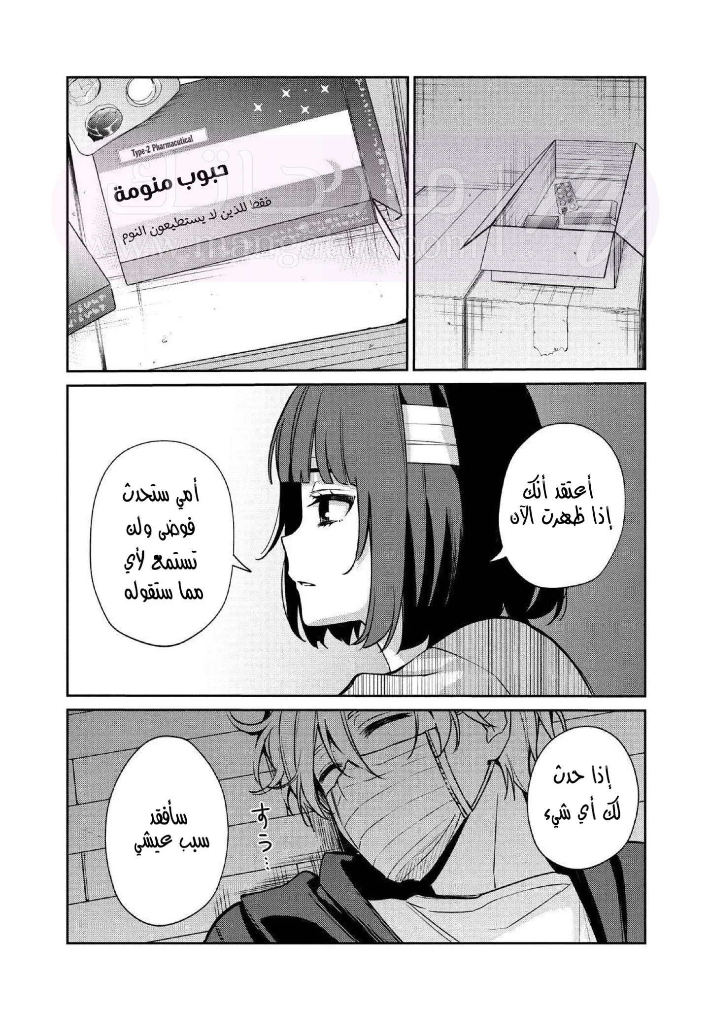 الصفحة 17