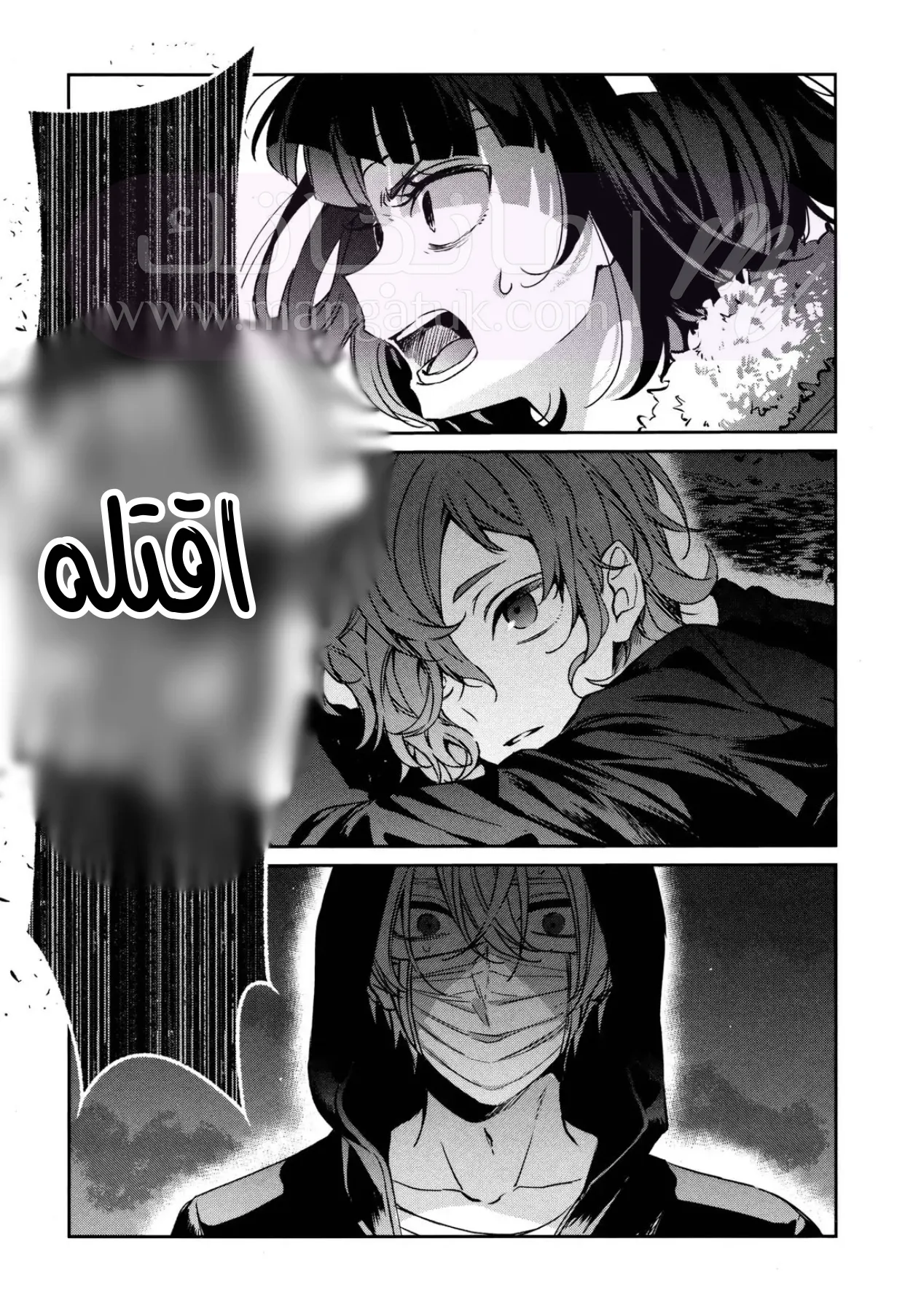 الصفحة 12