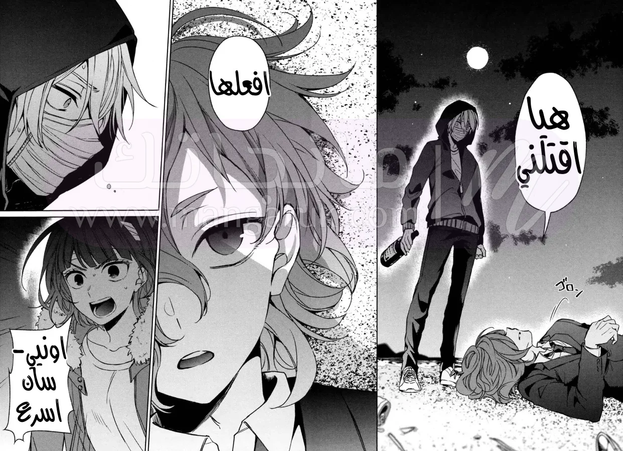 الصفحة 13