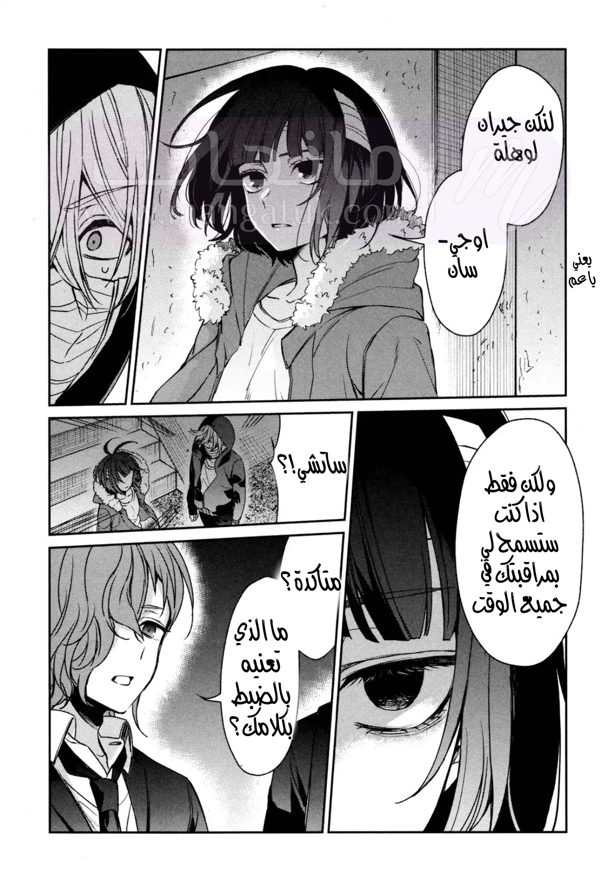 الصفحة 26