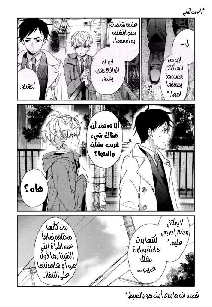 الصفحة 13