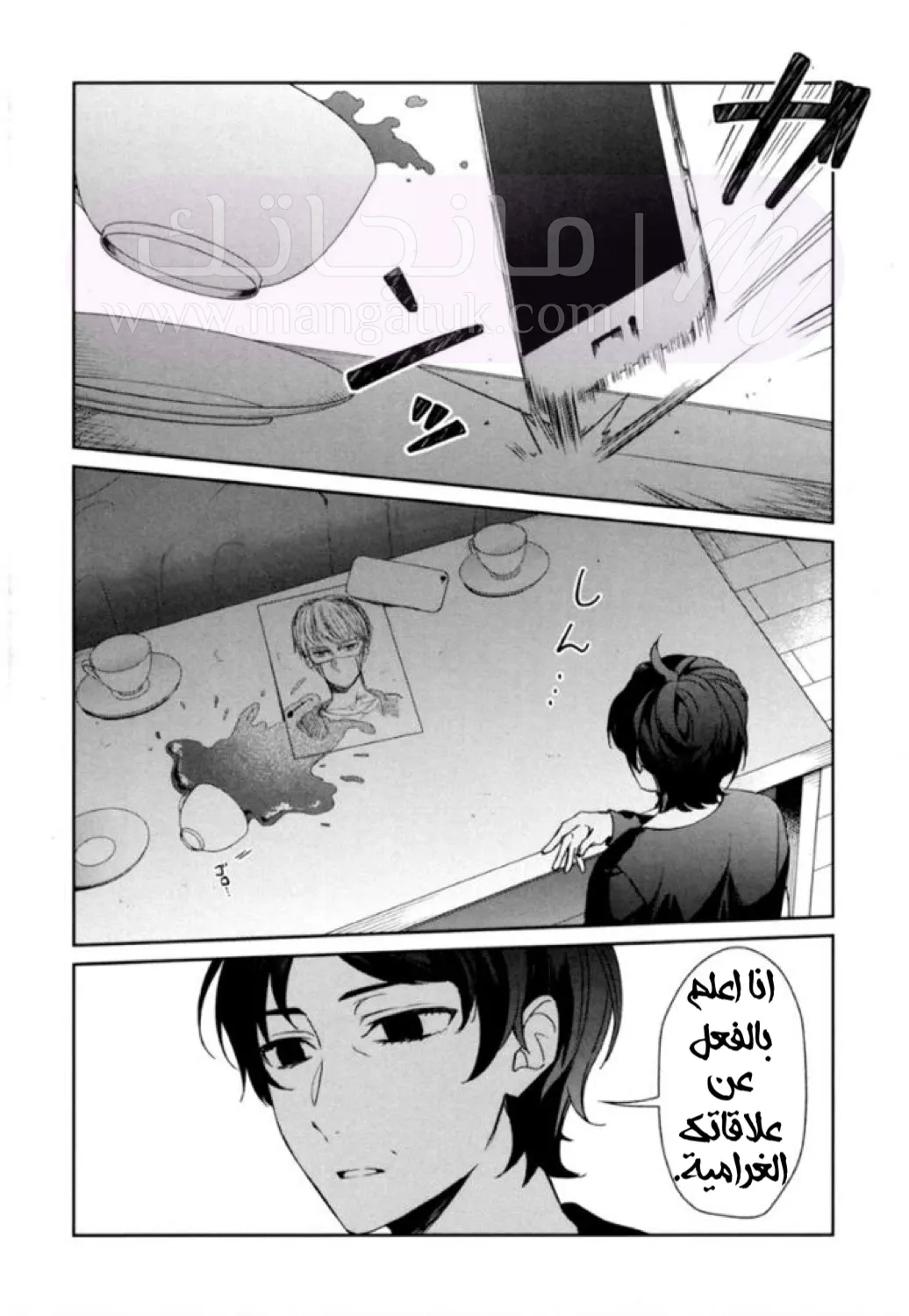 الصفحة 17