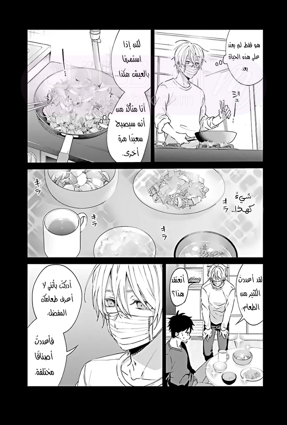 الصفحة 17
