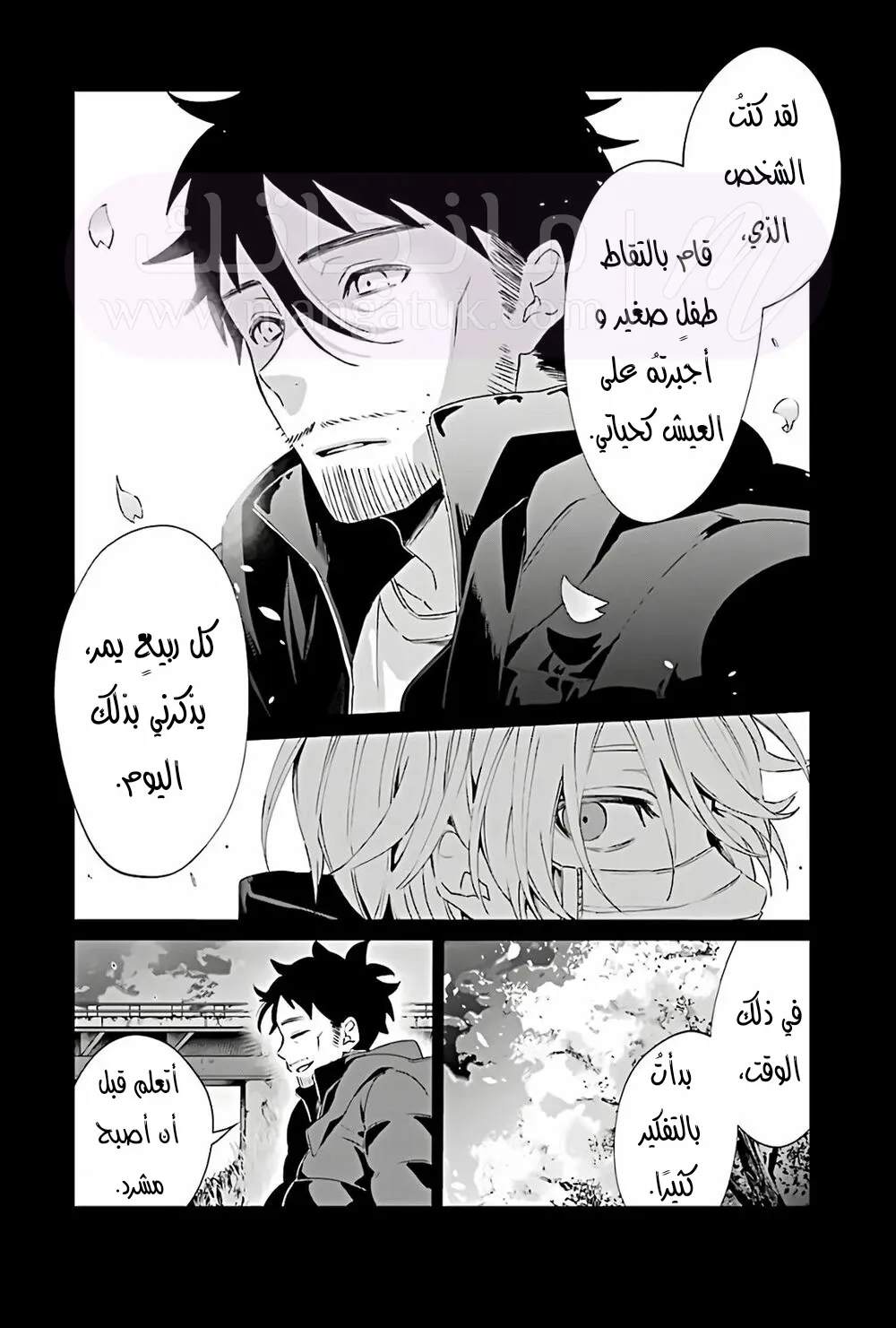 الصفحة 24