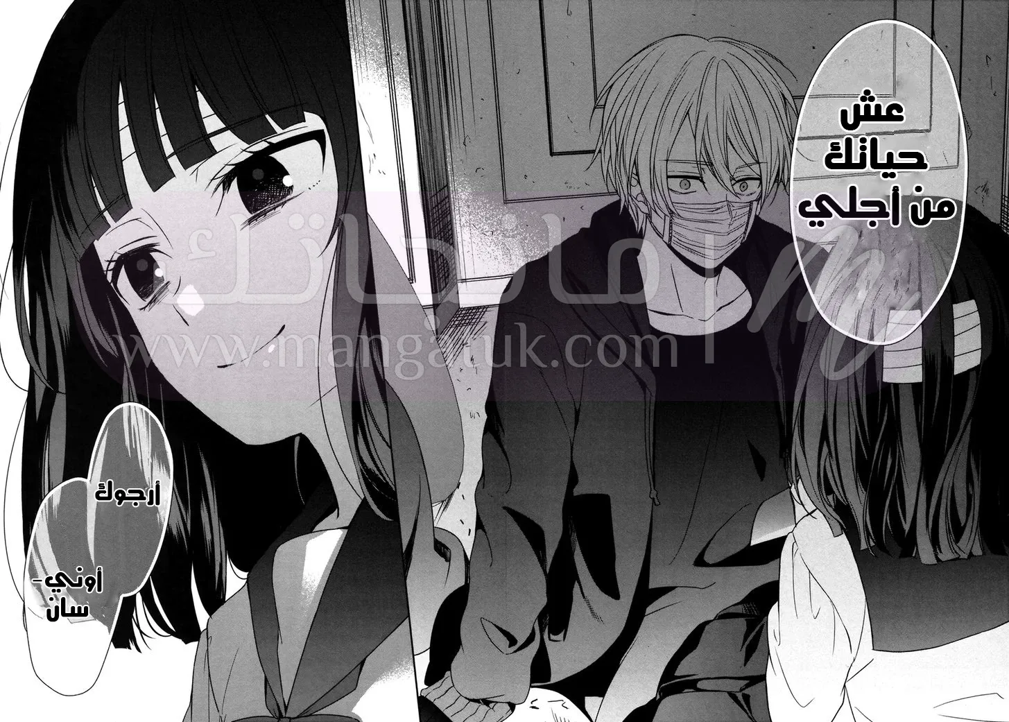 الصفحة 13