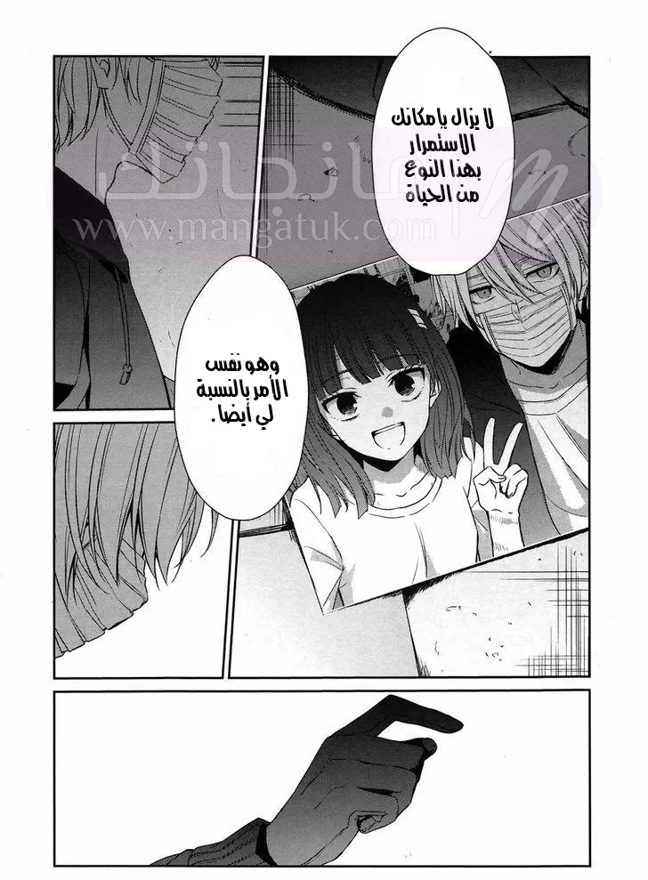 الصفحة 17