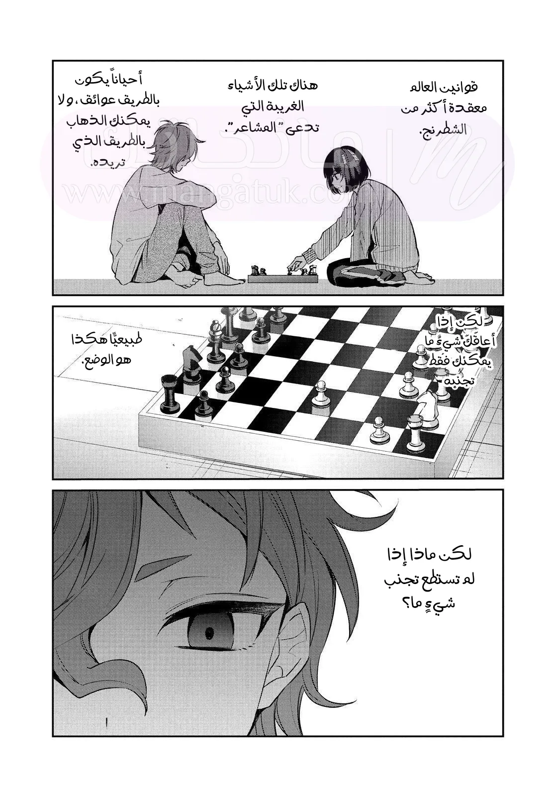 الصفحة 17