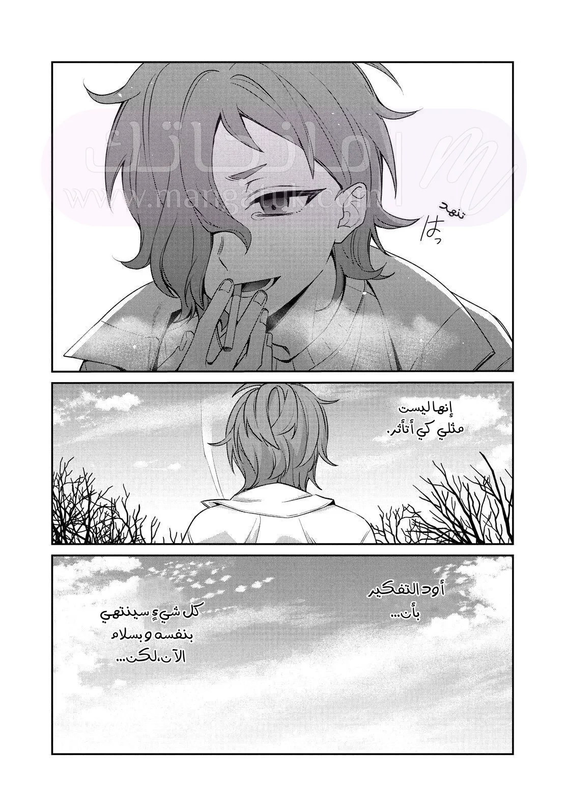 الصفحة 25