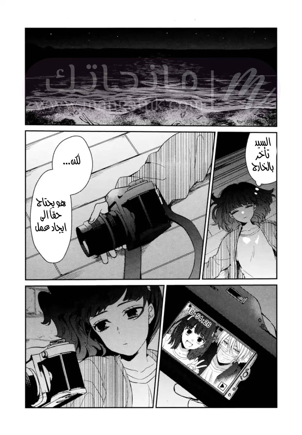 الصفحة 17