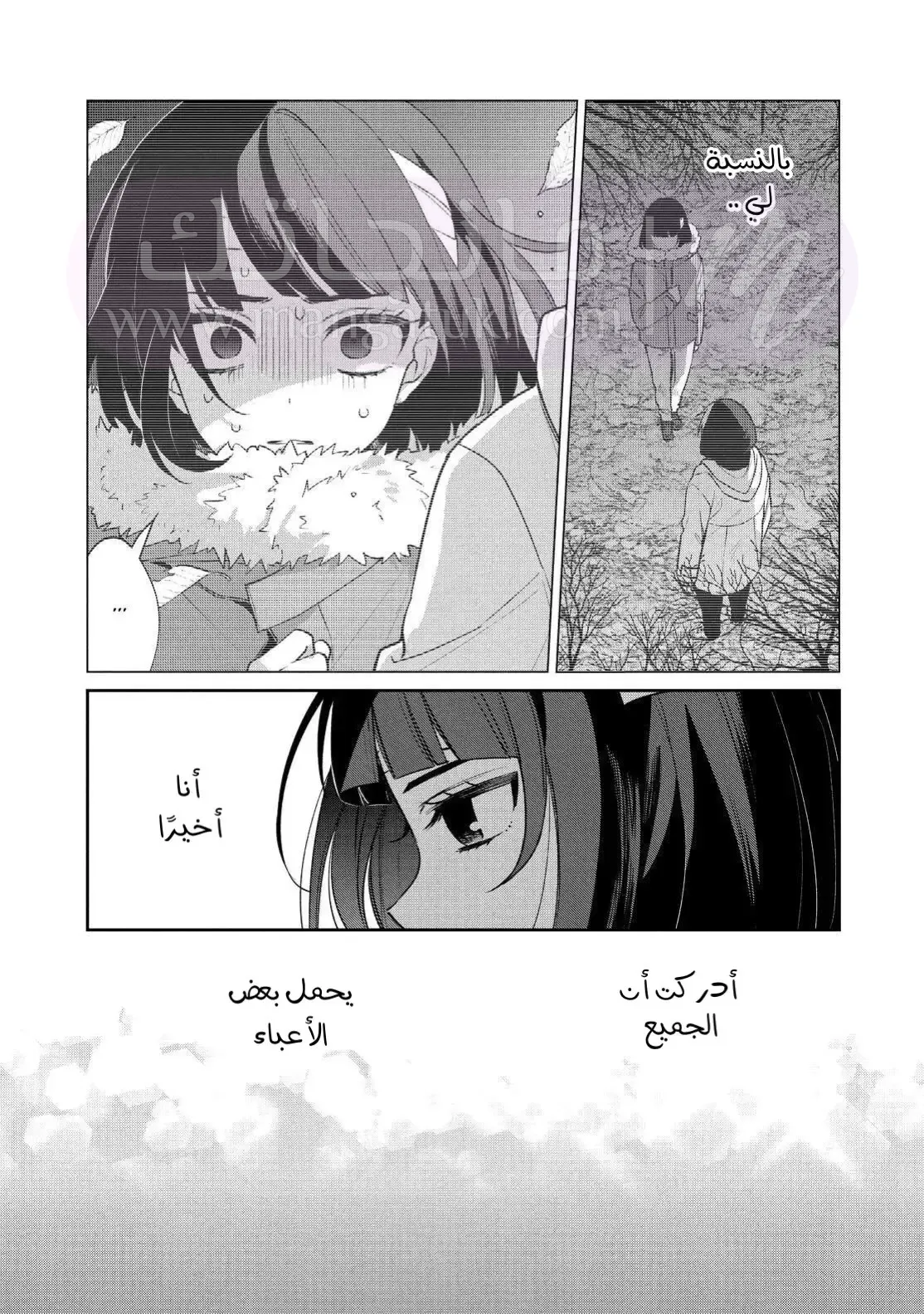 الصفحة 15
