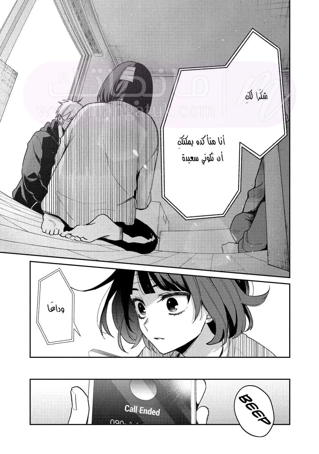 الصفحة 17