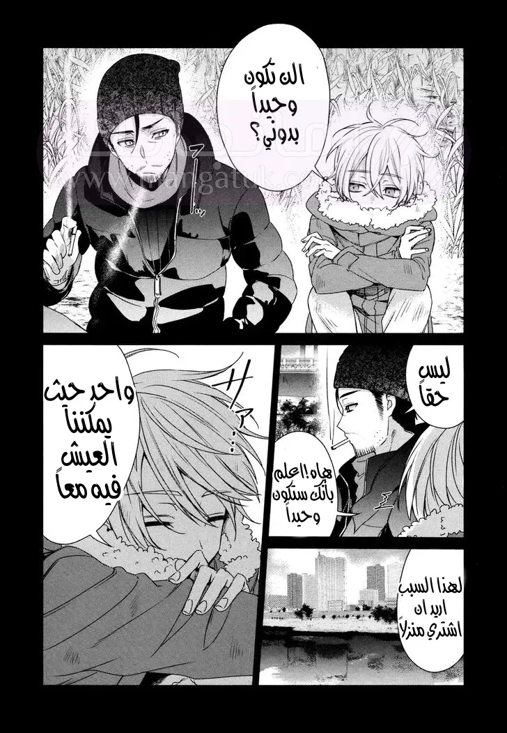 الصفحة 17
