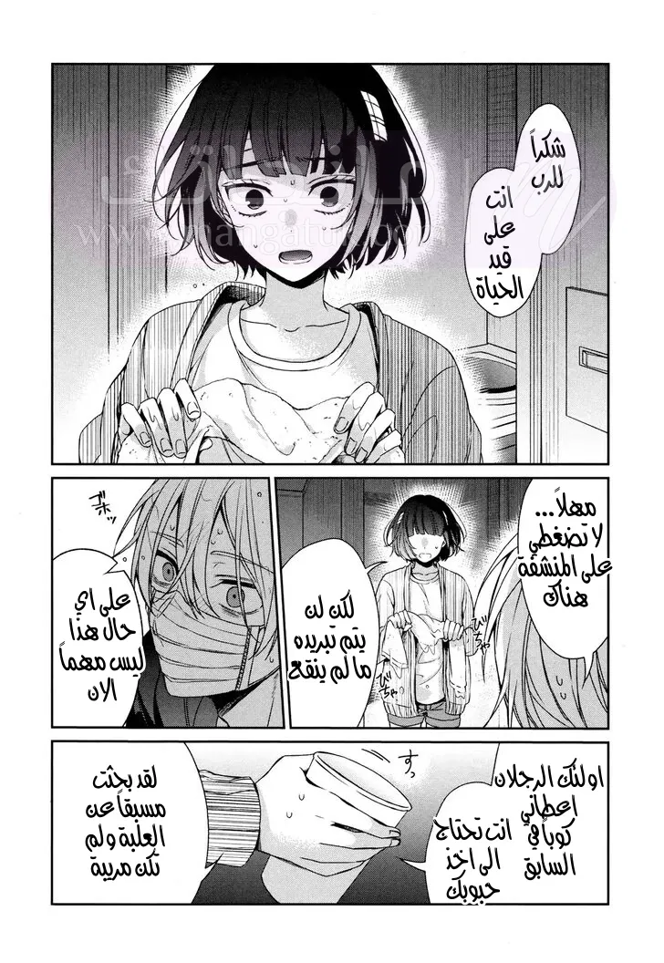 الصفحة 20