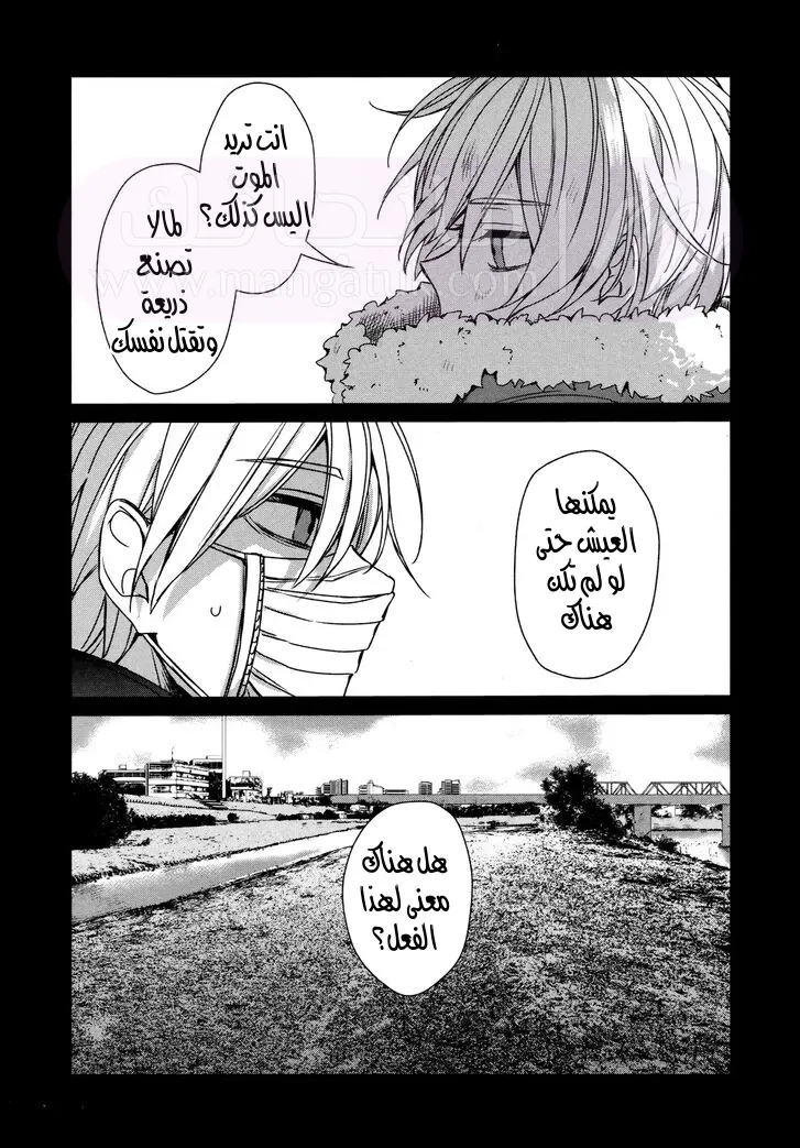 الصفحة 42