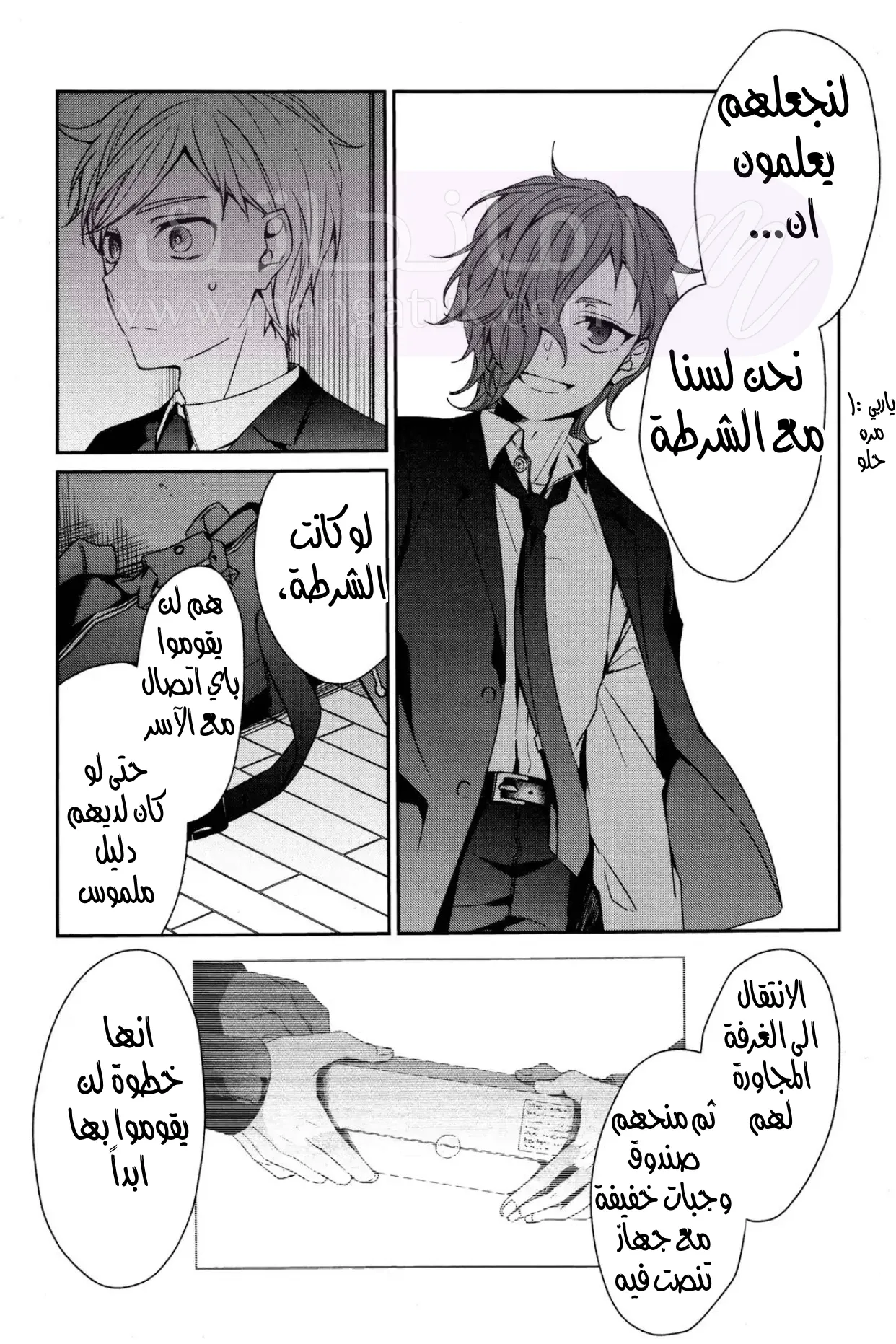 الصفحة 11