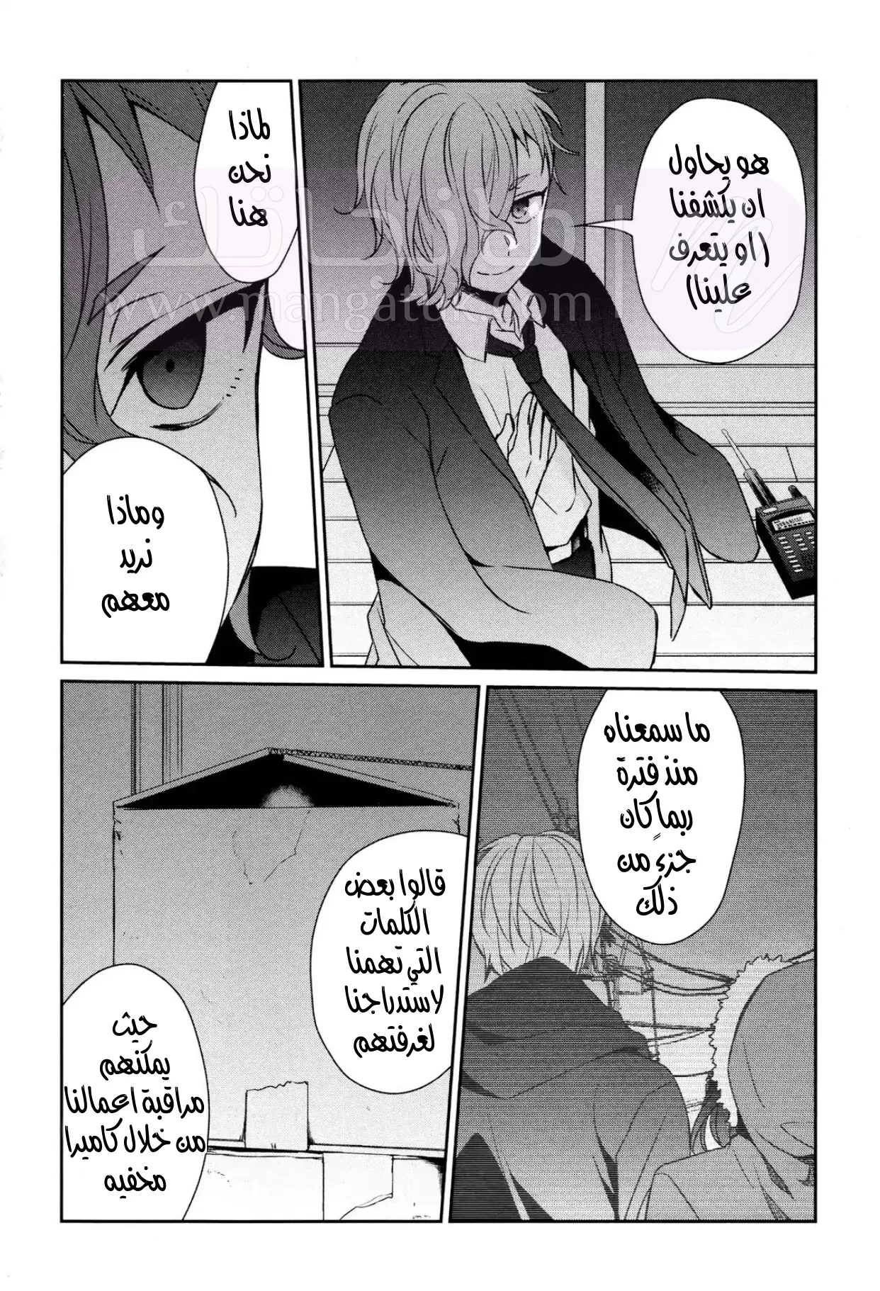 الصفحة 13