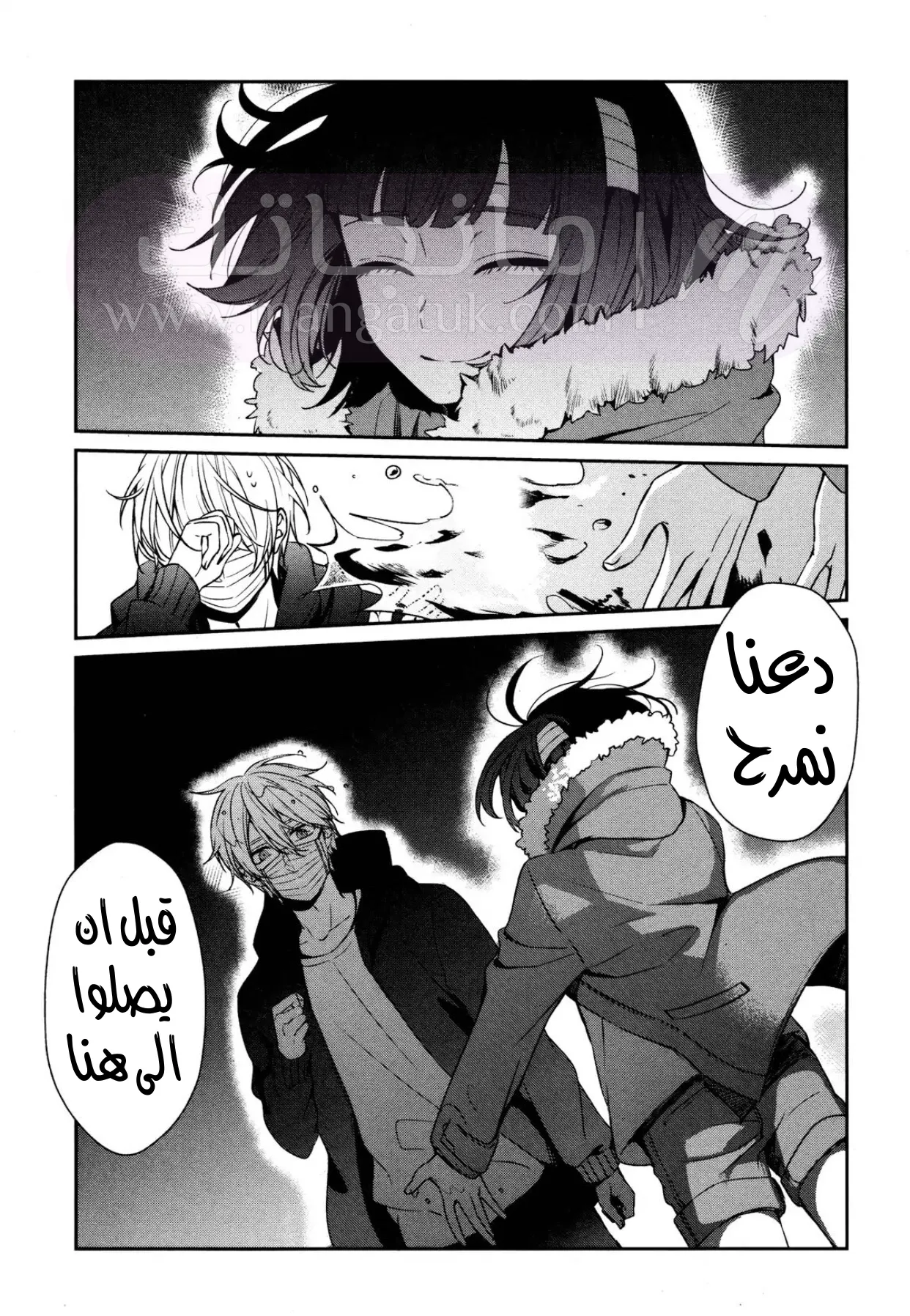 الصفحة 27