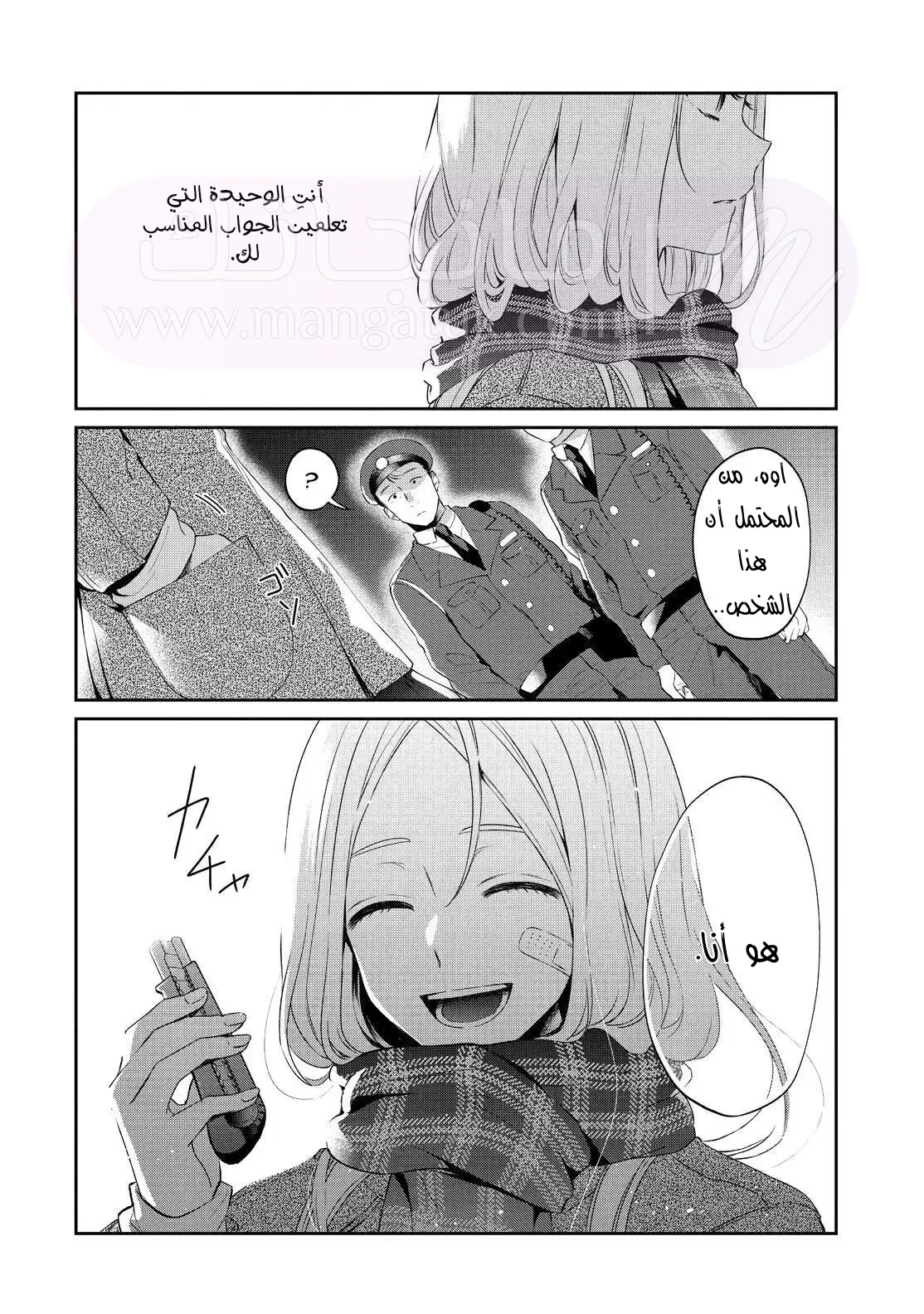 الصفحة 13