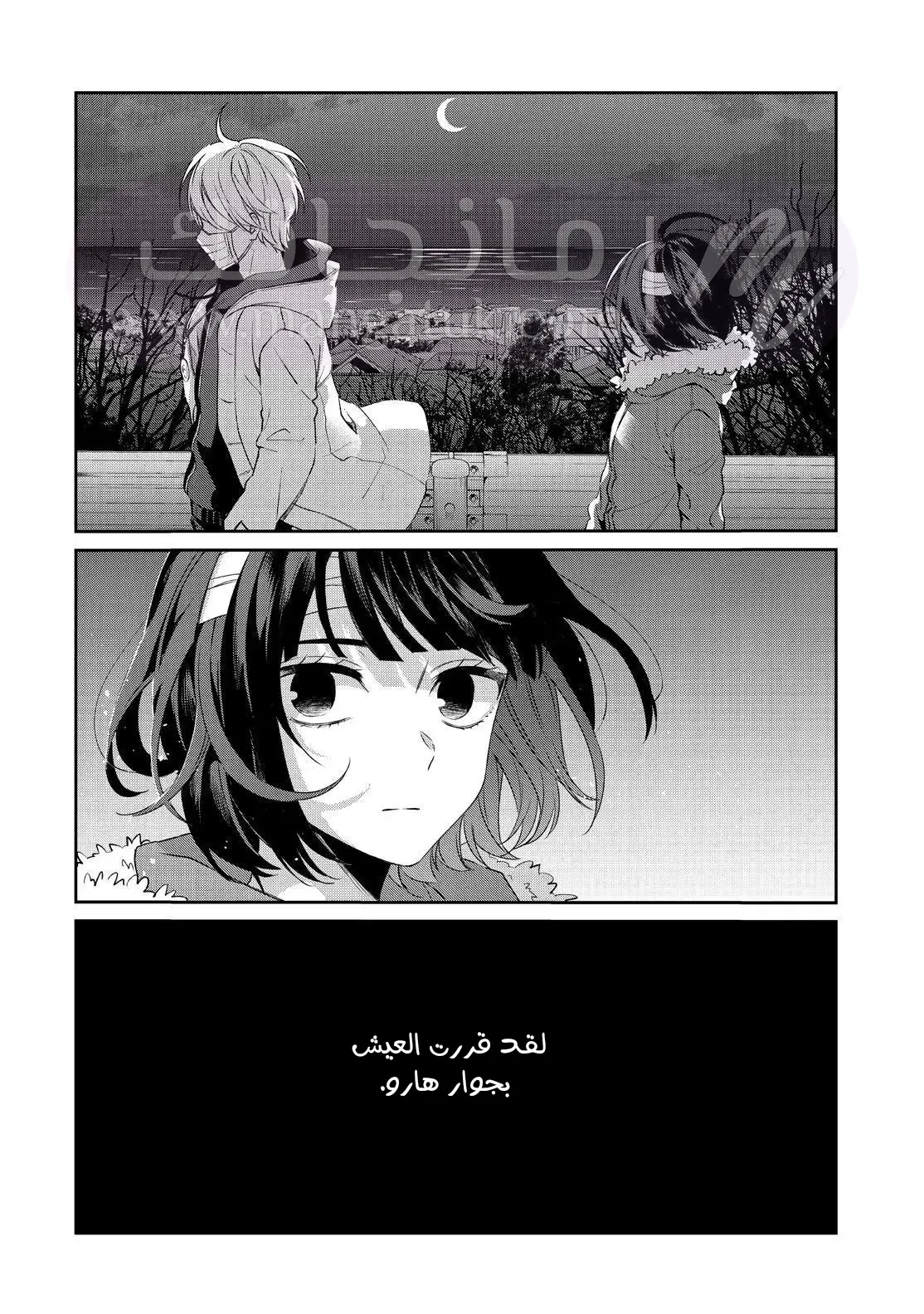 الصفحة 17