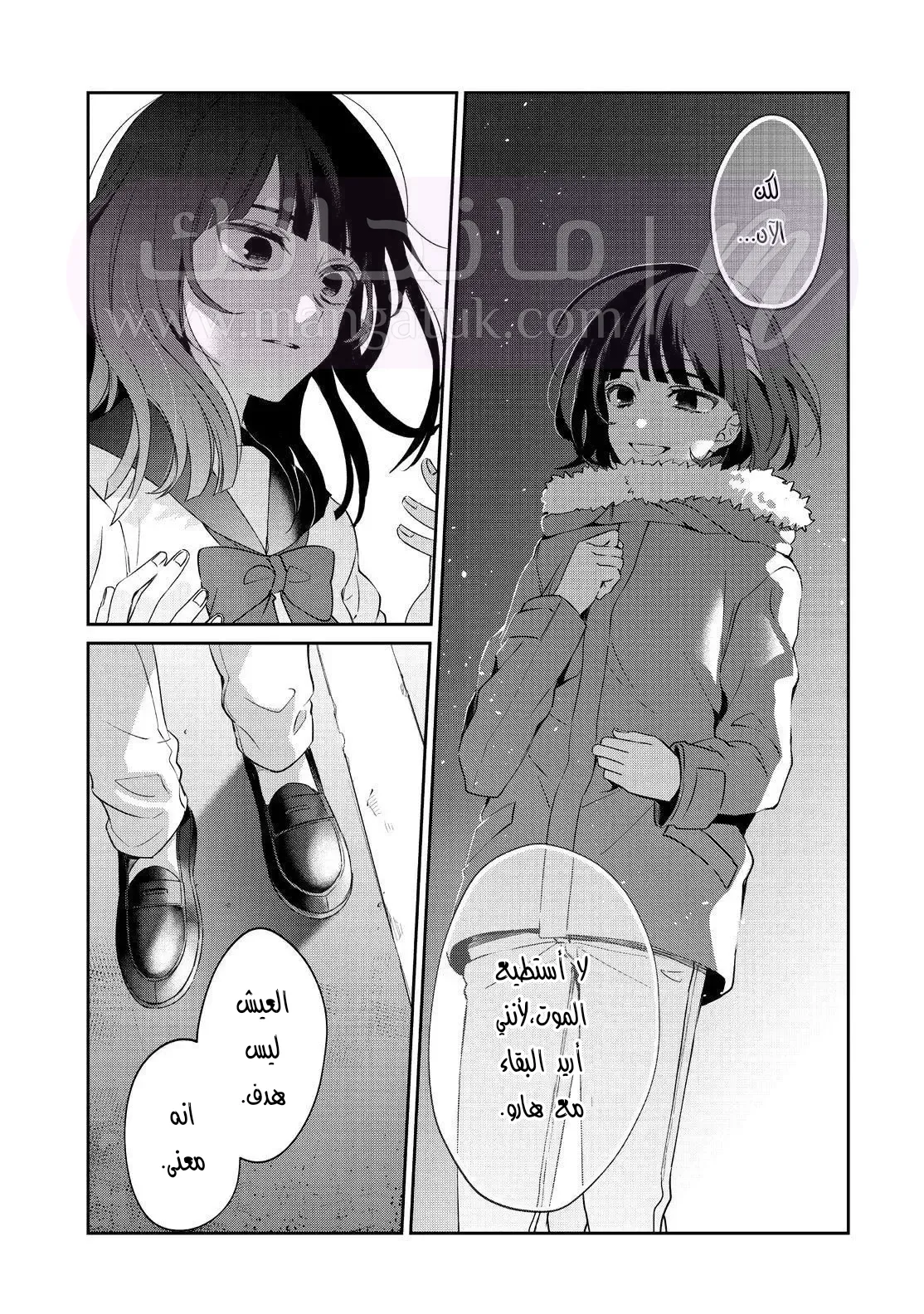 الصفحة 24