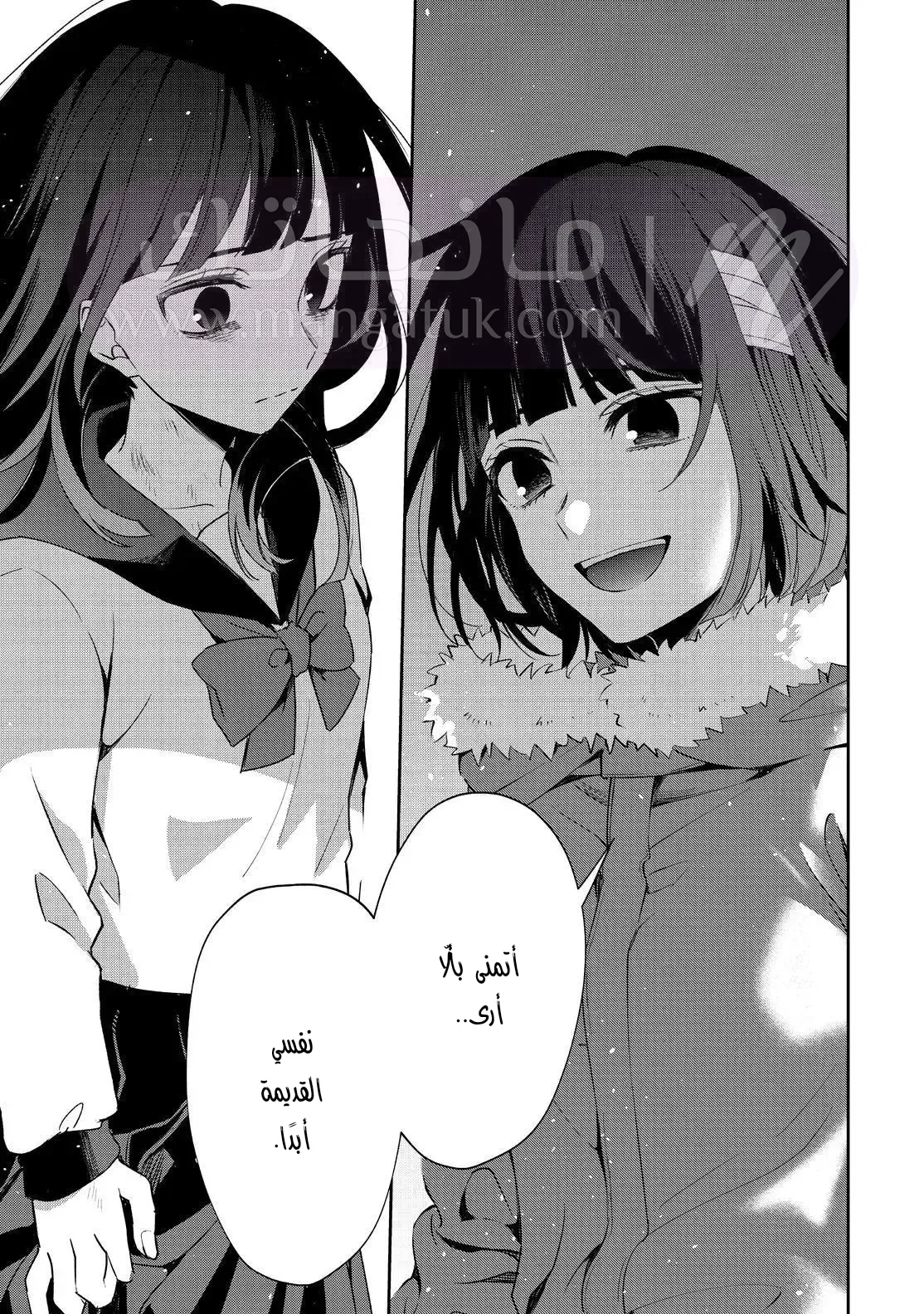 الصفحة 26