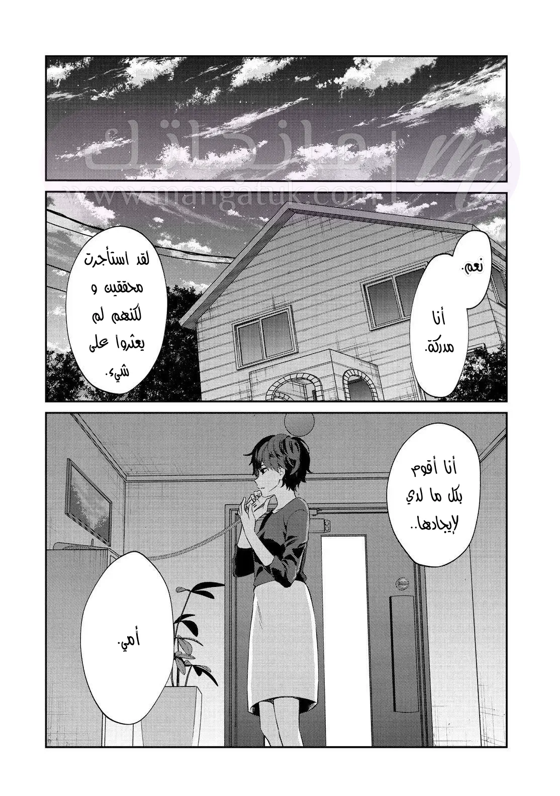 الصفحة 29