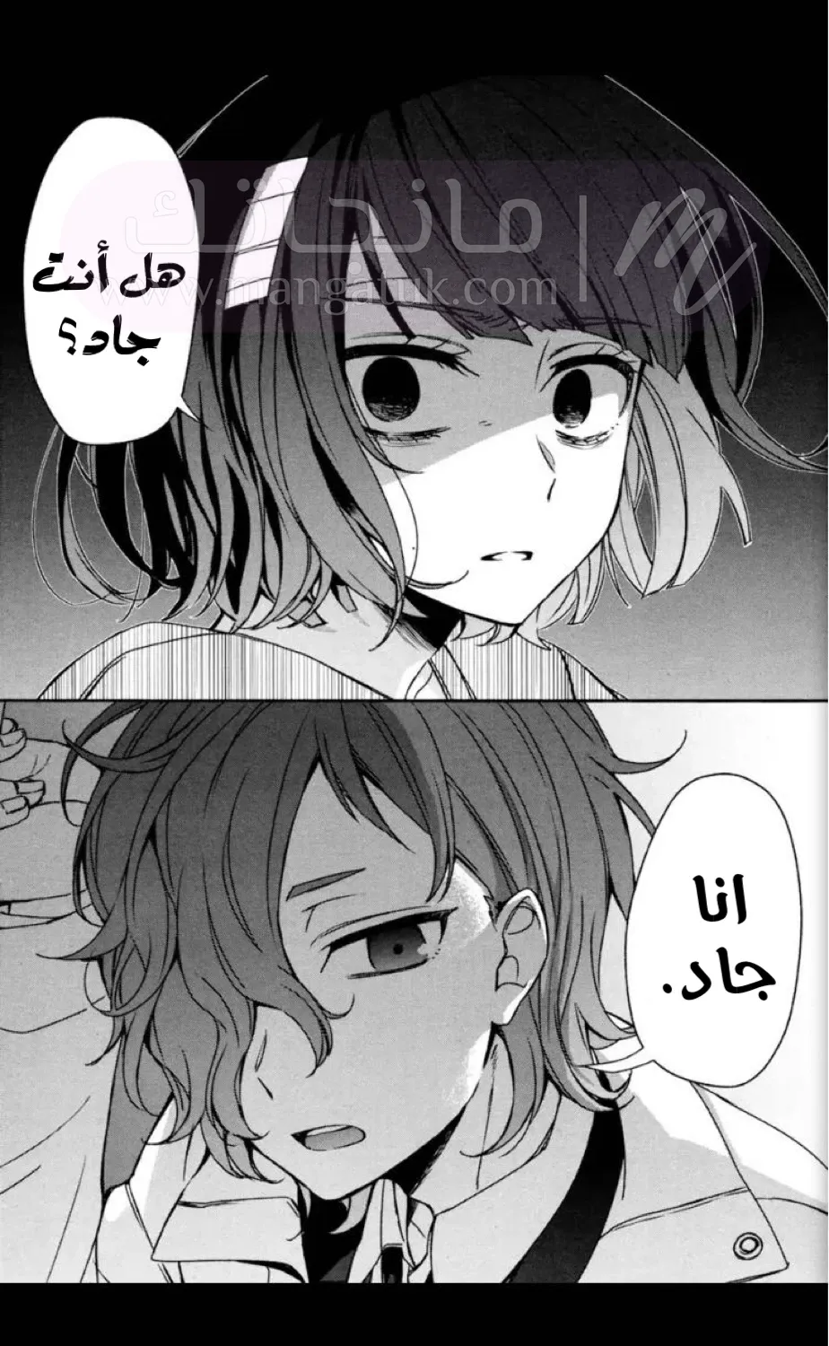 الصفحة 20