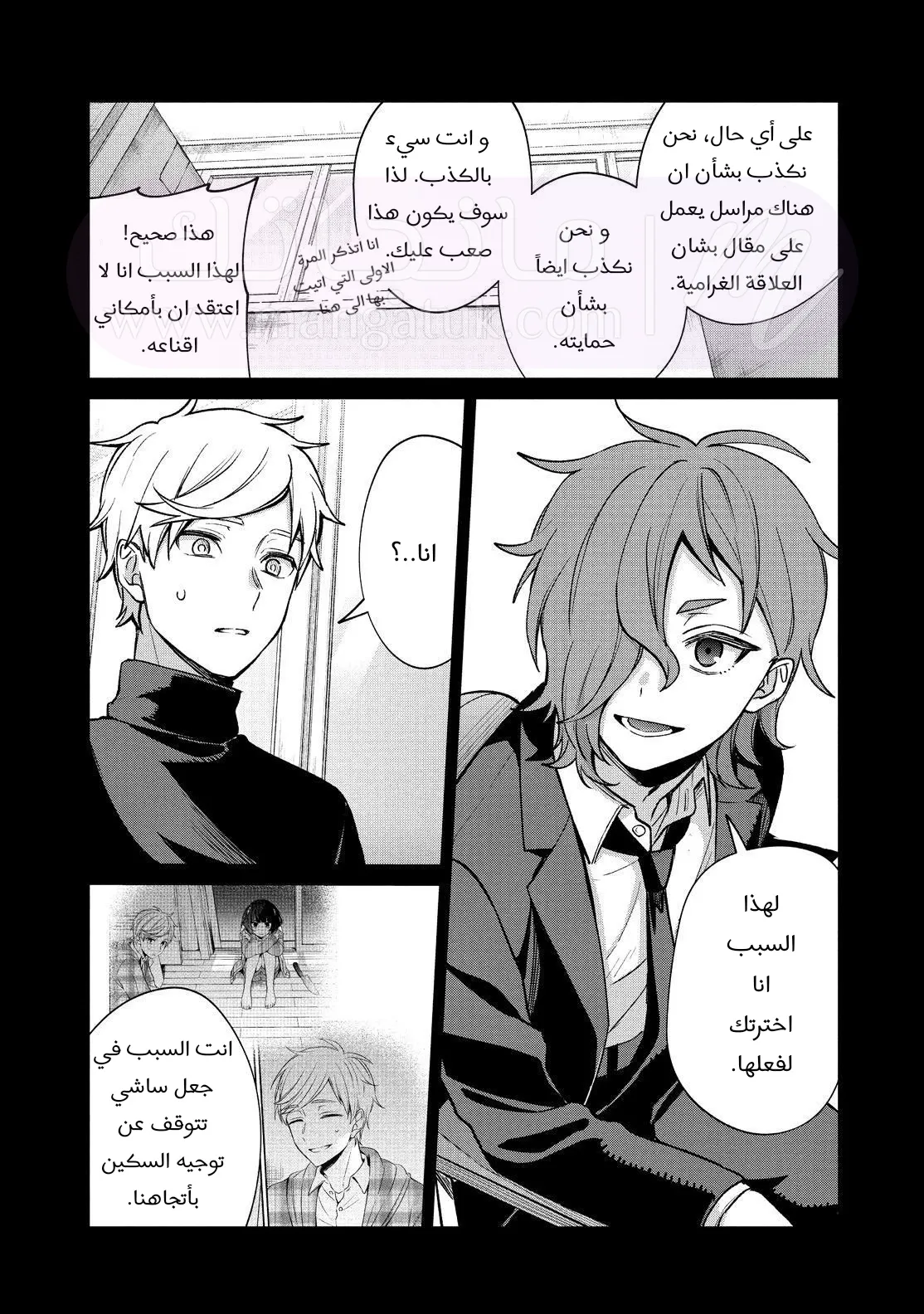 الصفحة 13