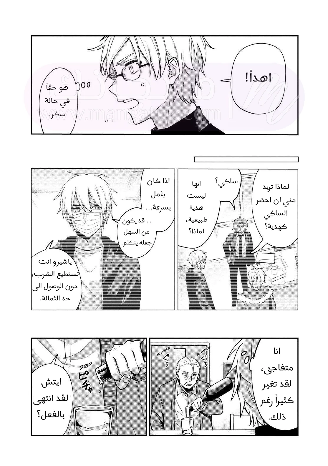 الصفحة 27