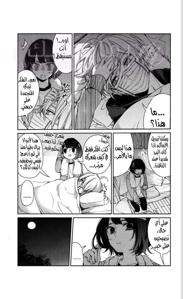 الصفحة 12