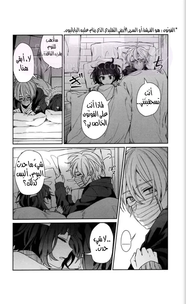 الصفحة 13