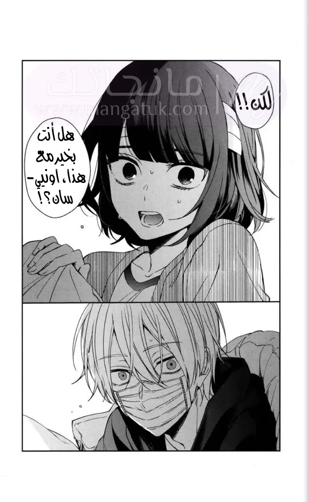الصفحة 17