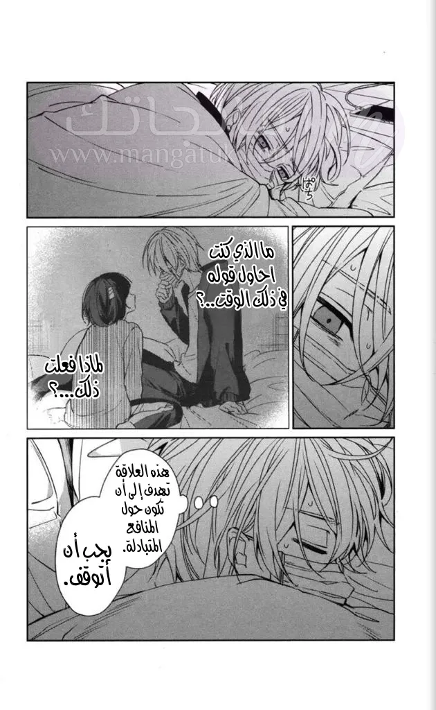 الصفحة 29